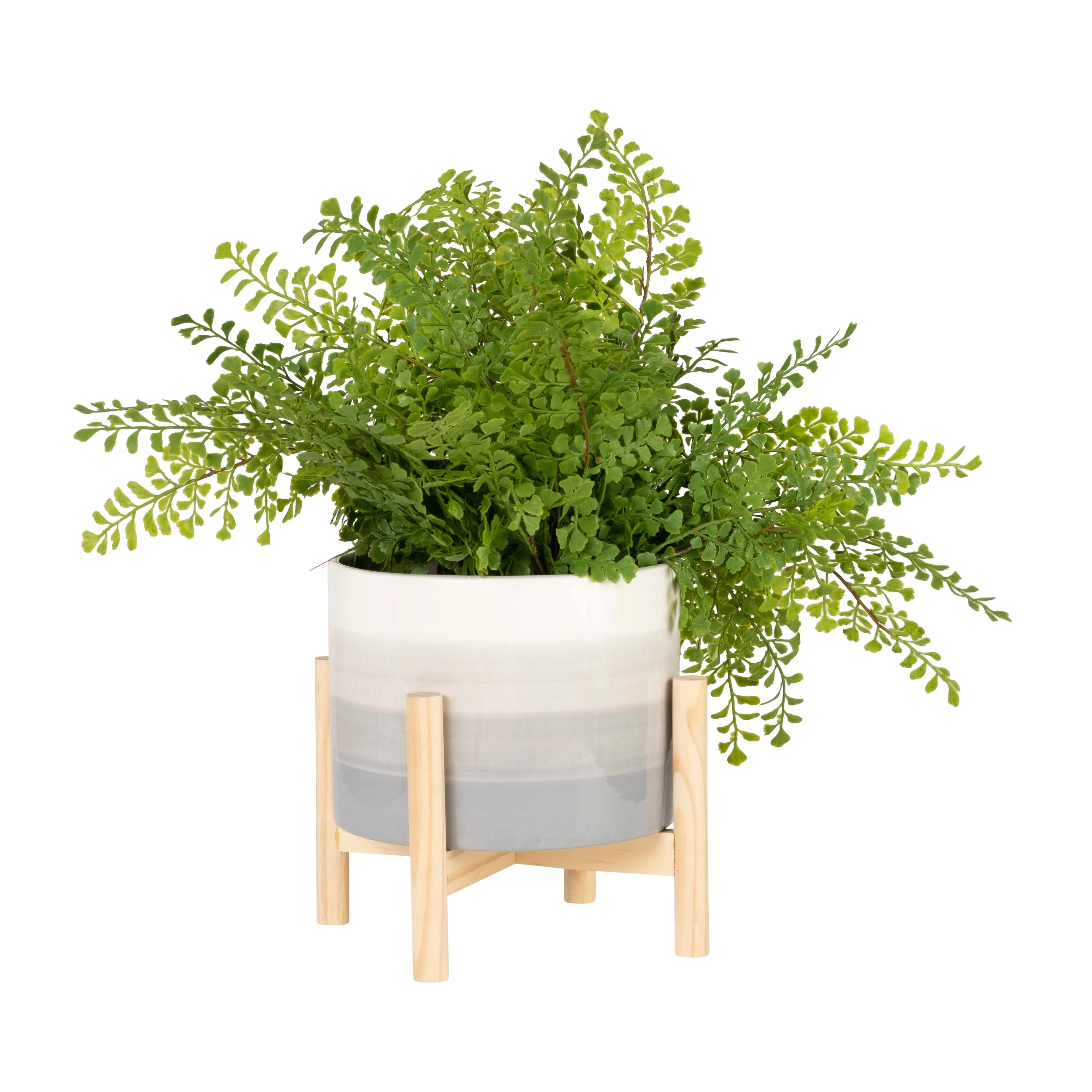 15069-02  6" CERAMIC FLUTED PLANTER W/ WOOD STAND, BLACK( Sagebrook Home  ) - Image 5