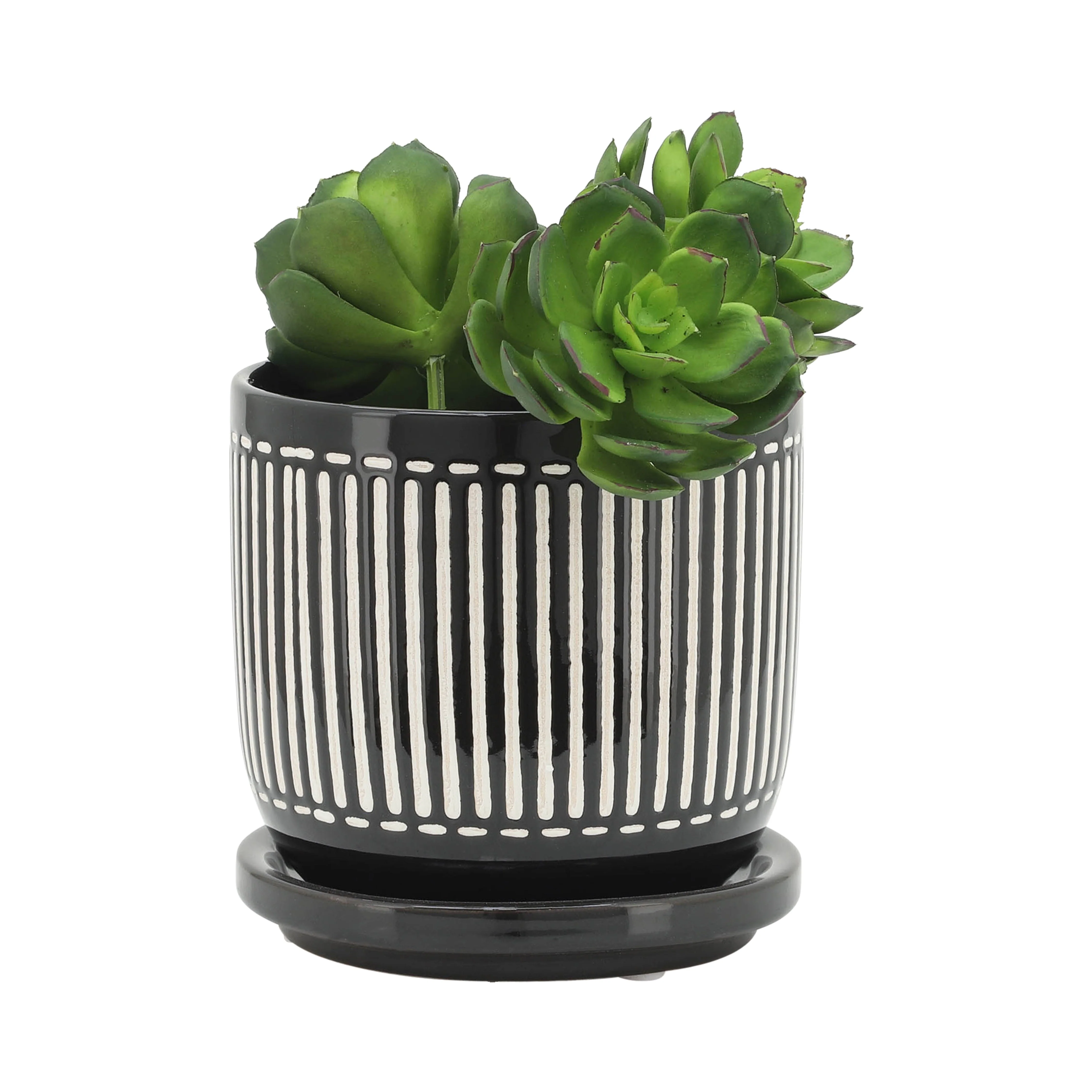 15786-03  6" TINY DOTS PLANTER W/ SAUCER, WHITE( Sagebrook Home  ) - Image 3