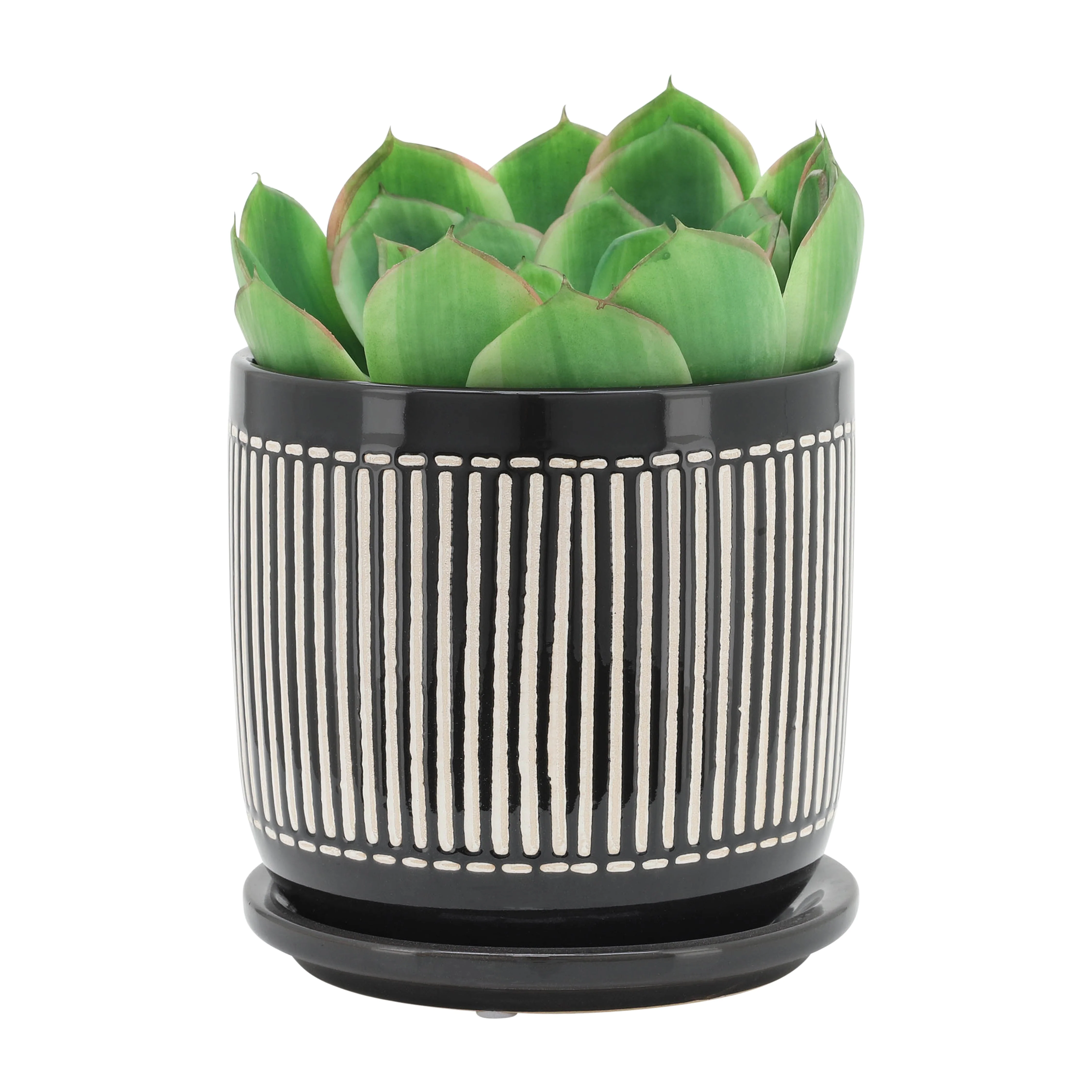15786-03  6" TINY DOTS PLANTER W/ SAUCER, WHITE( Sagebrook Home  ) - Image 6