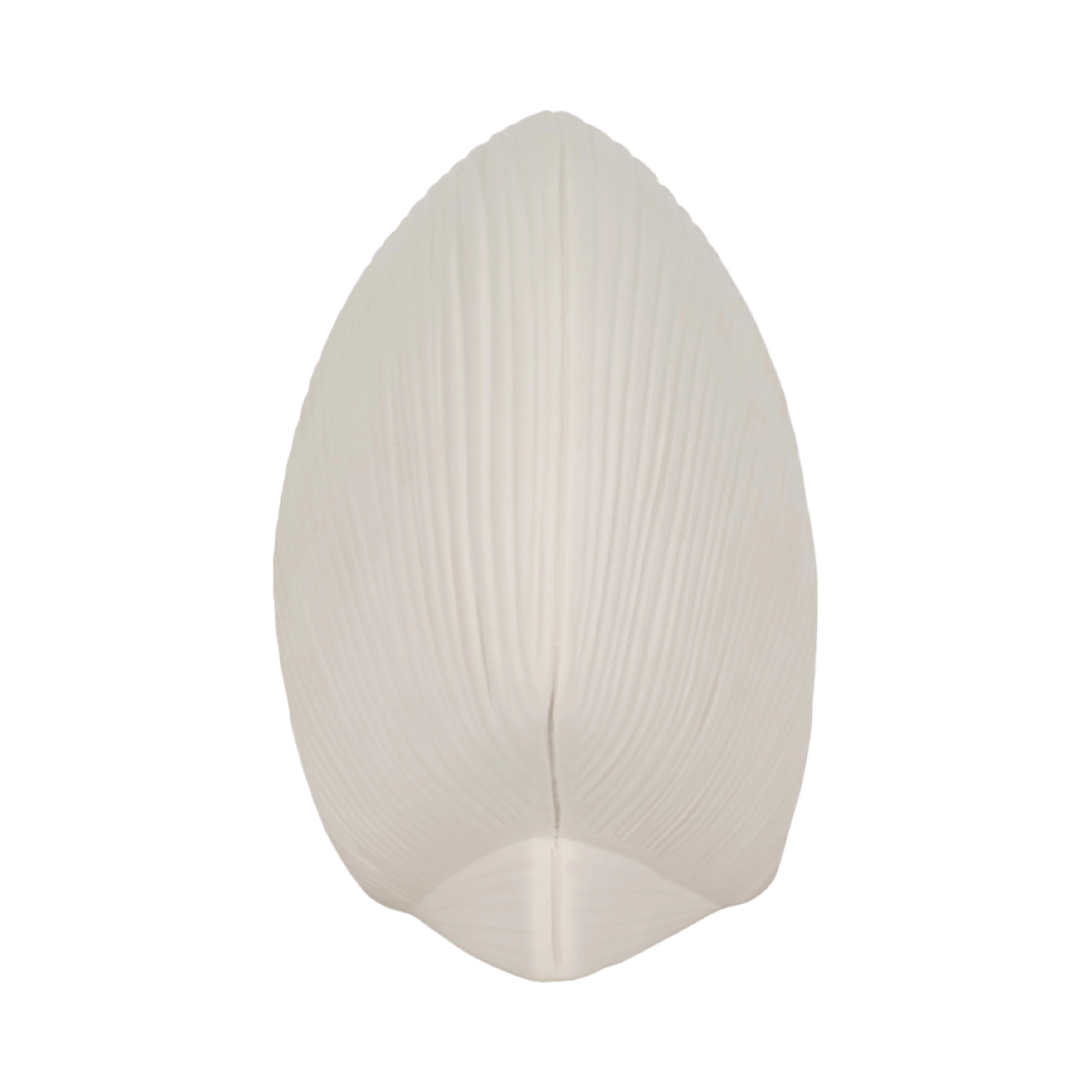 6" Seashell Decor, White - Image 10