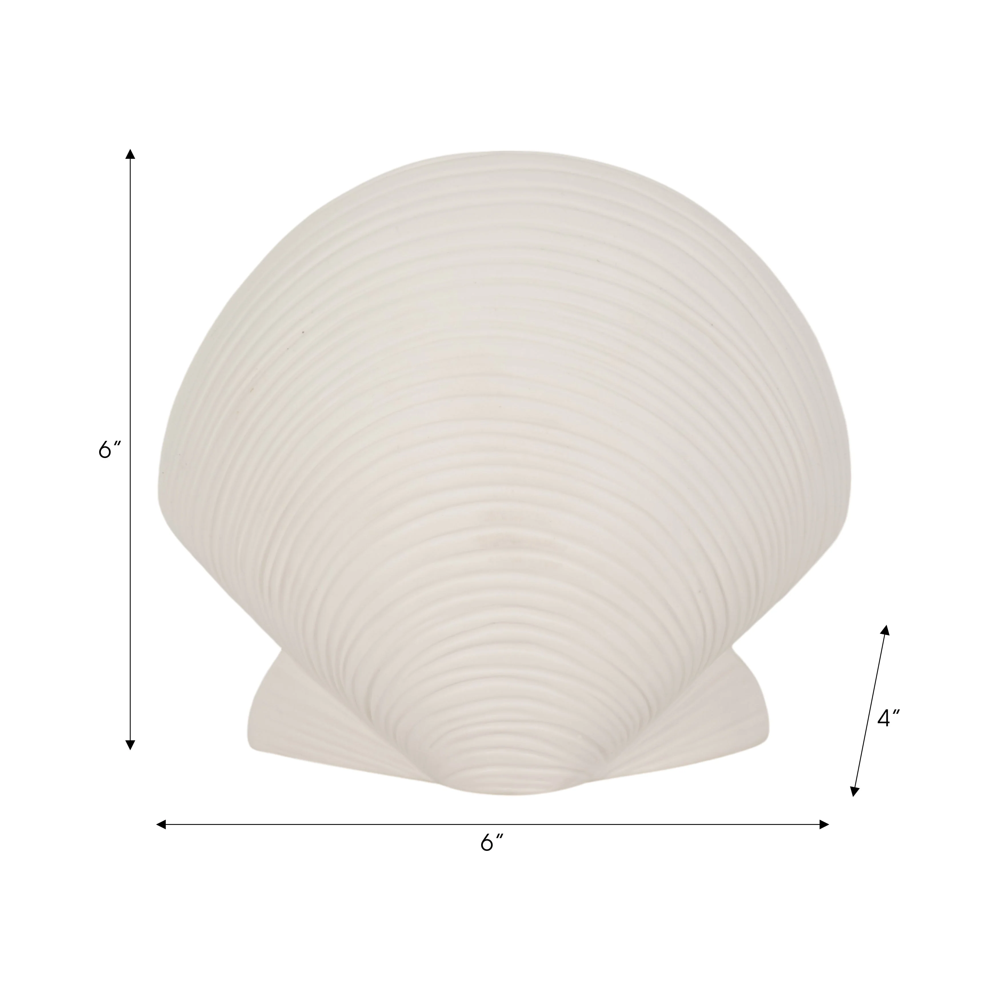6" Seashell Decor, White - Image 14