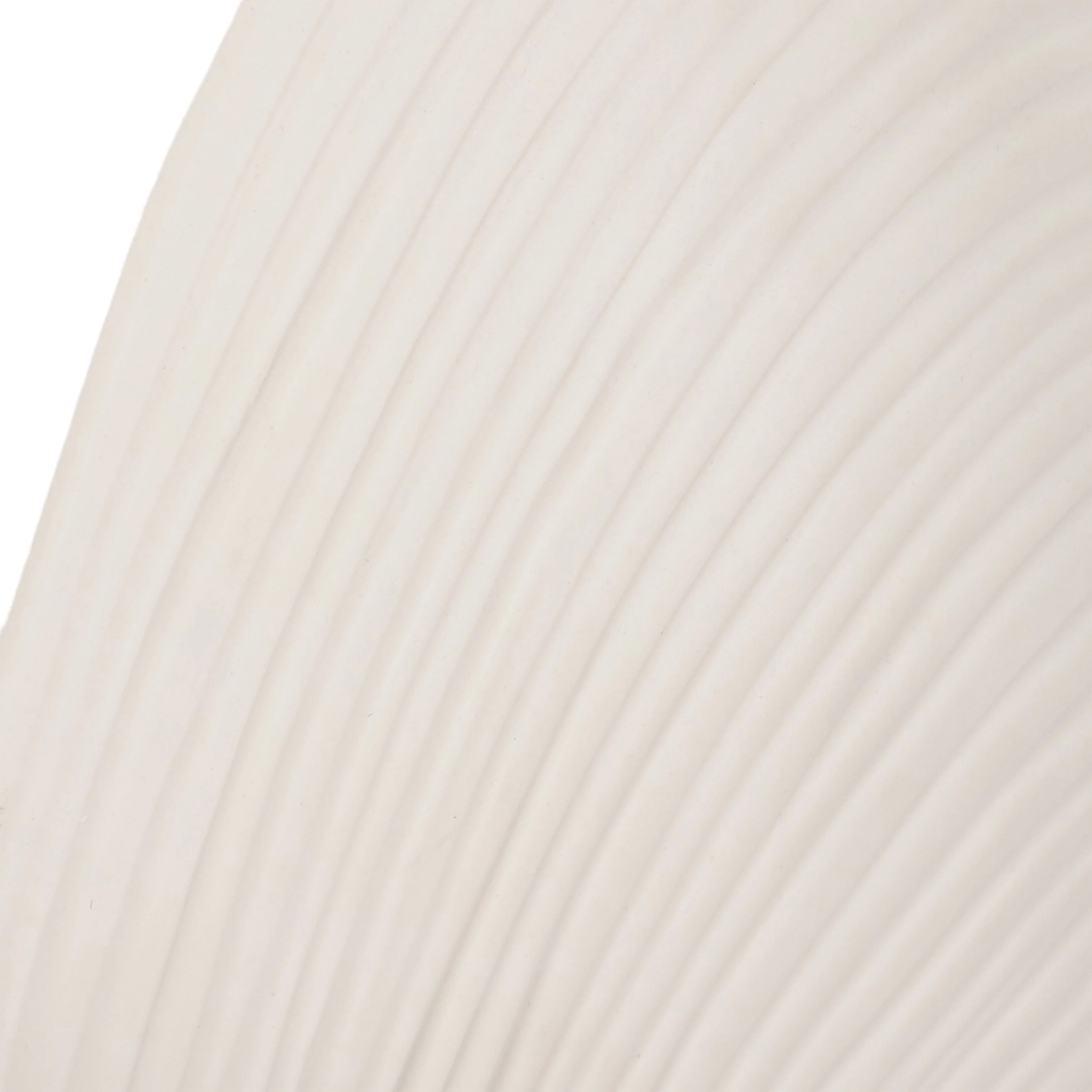 6" Seashell Decor, White - Image 4