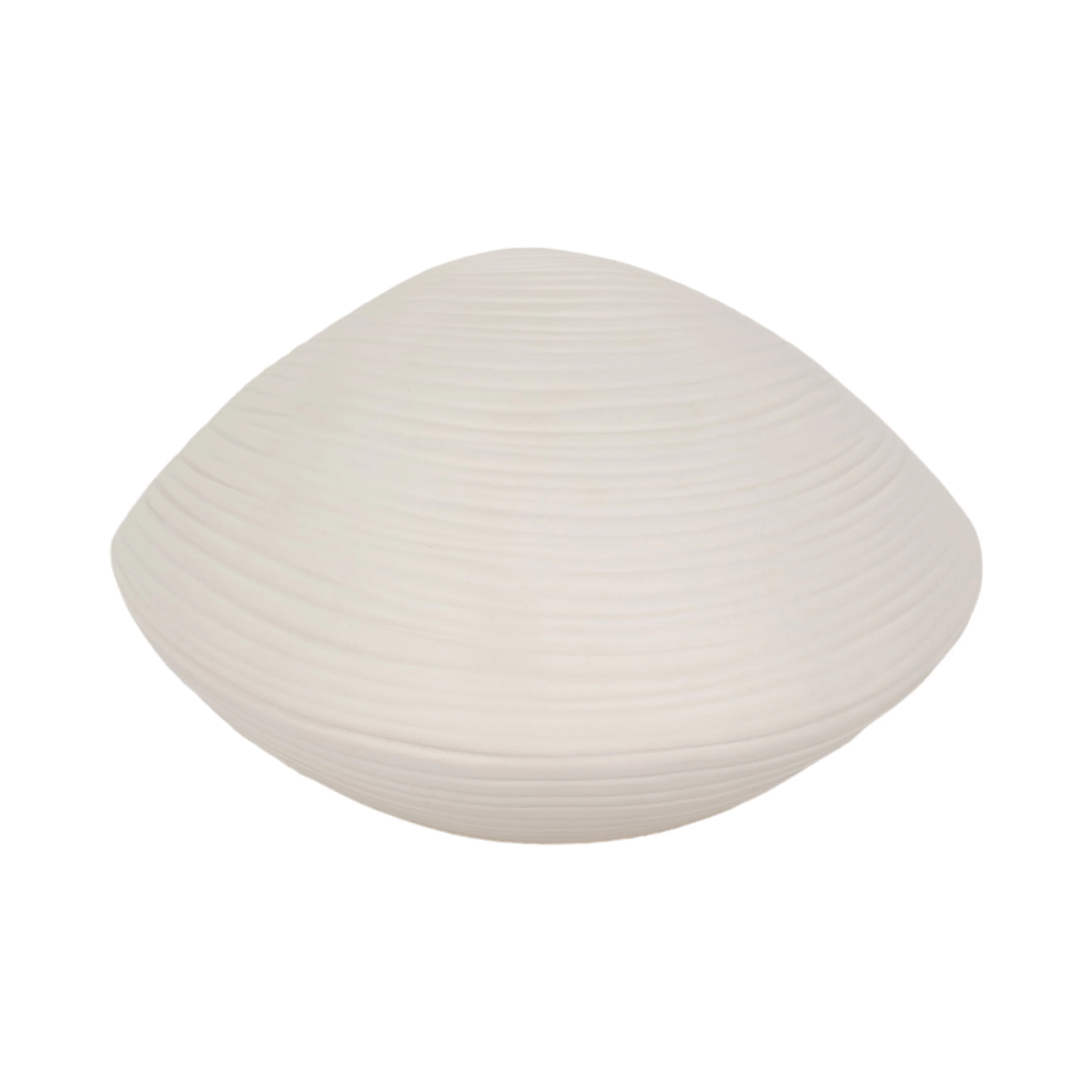 6" Seashell Decor, White - Image 5