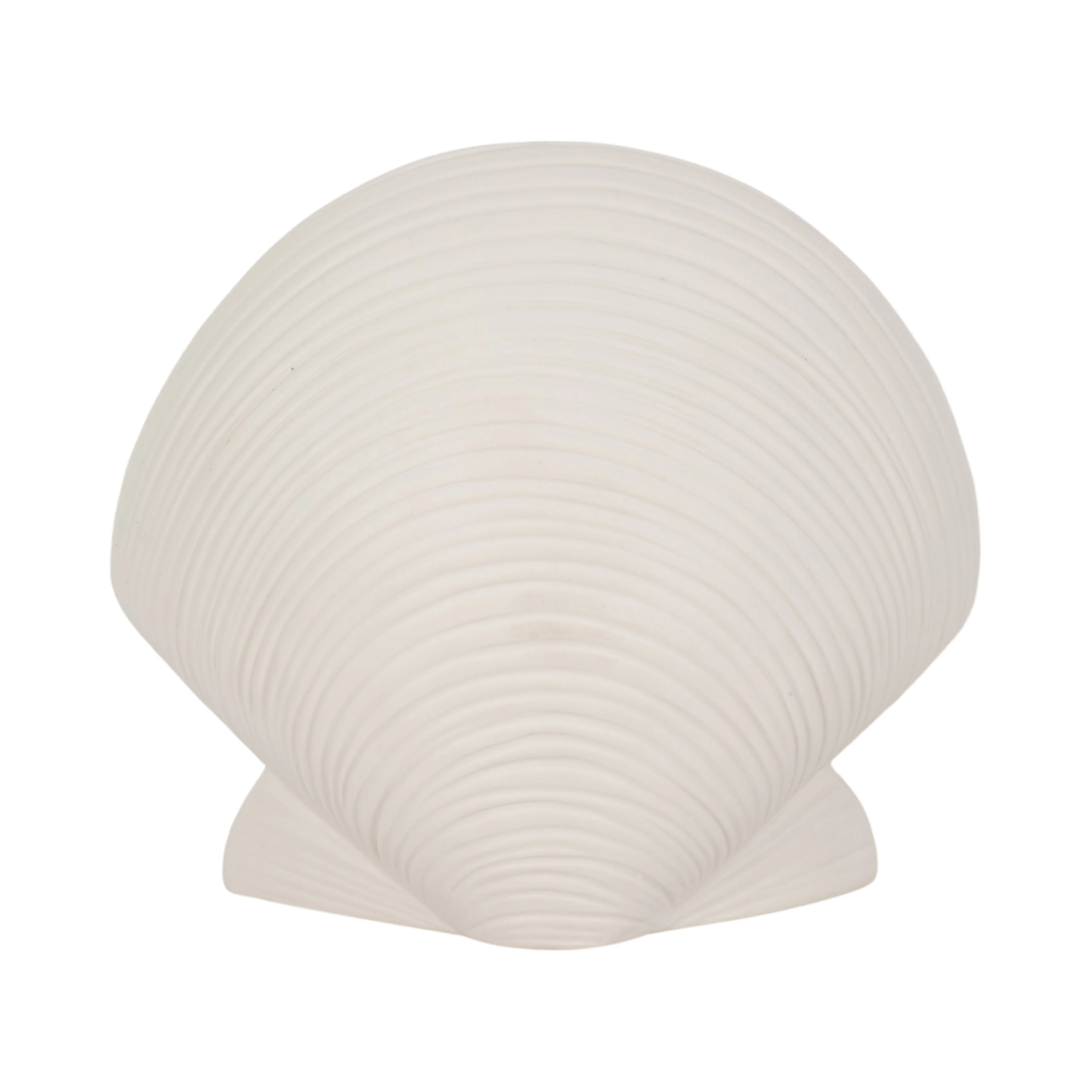 6" Seashell Decor, White - Image 8