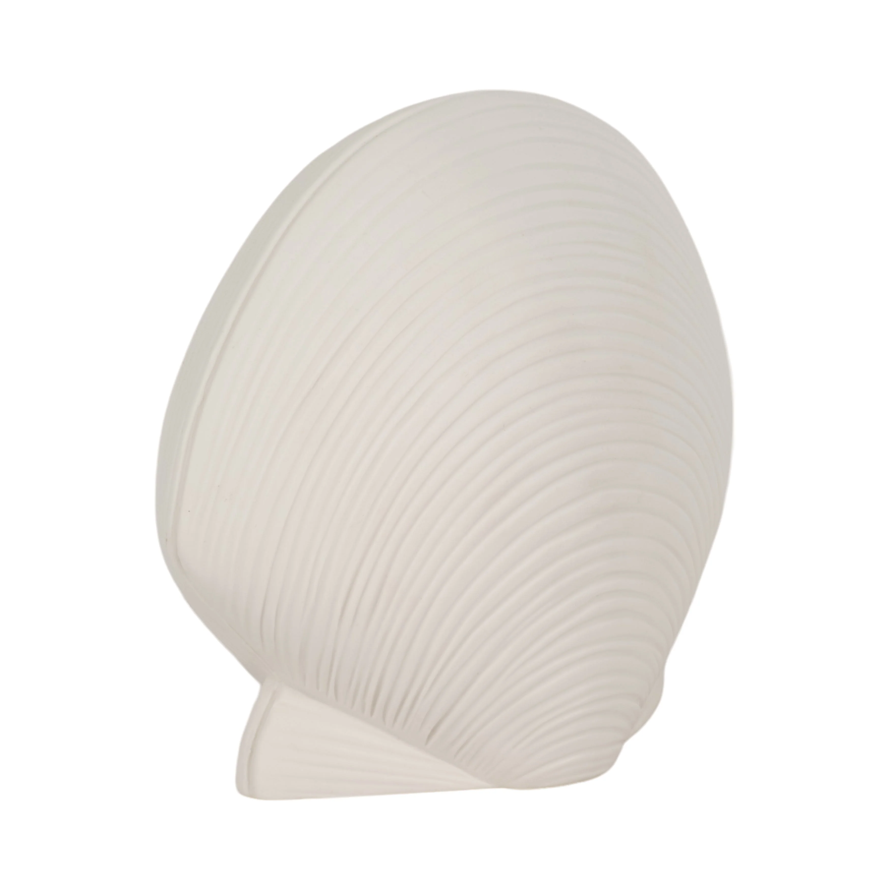 6" Seashell Decor, White - Image 9