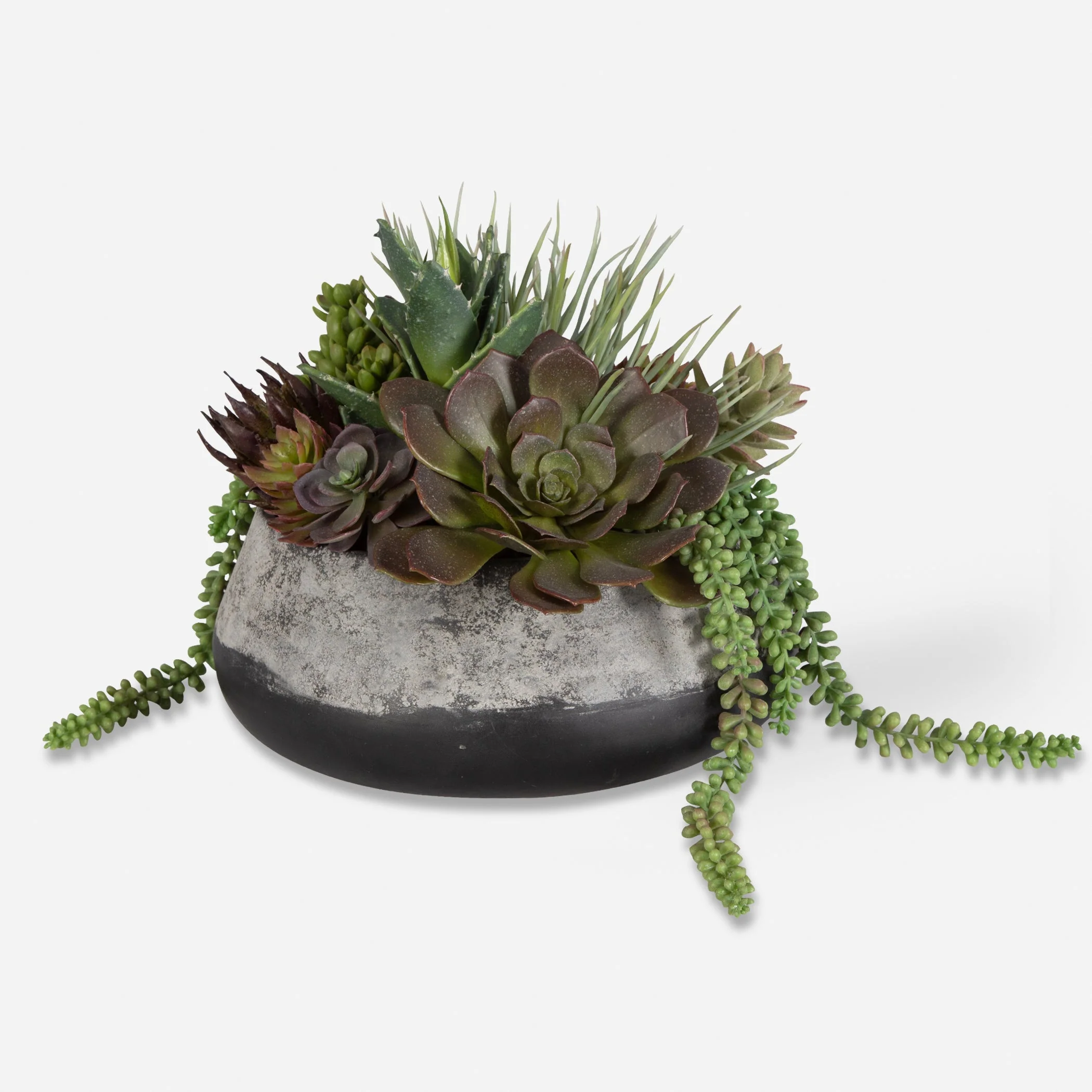 60214-UTT| Yuma Succulent Centerpiece - Image 3