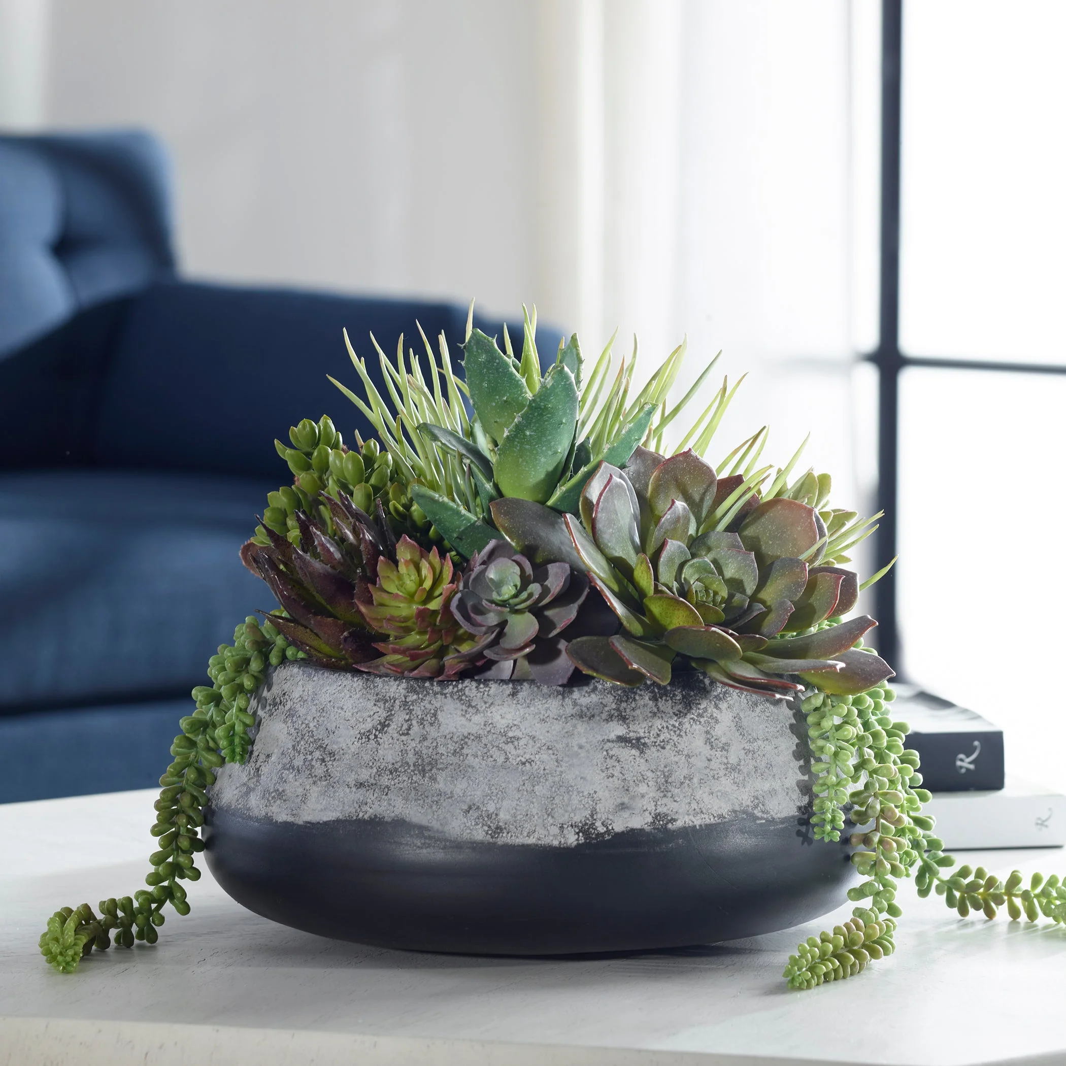 60214-UTT| Yuma Succulent Centerpiece - Image 4