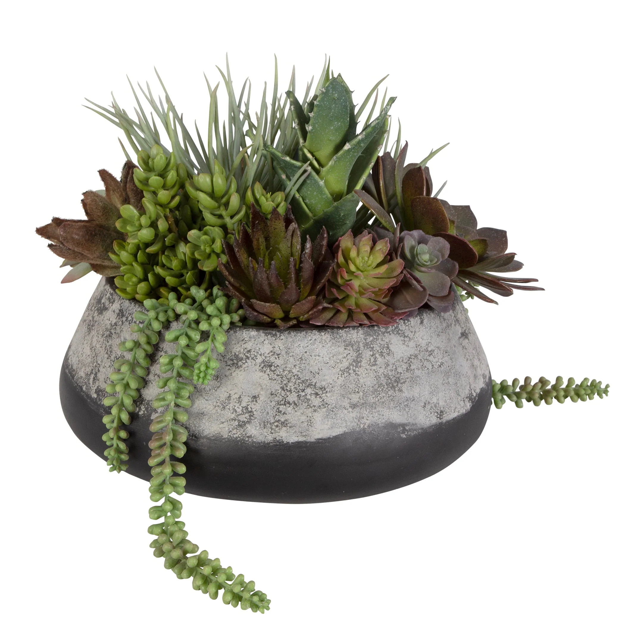 60214-UTT| Yuma Succulent Centerpiece - Image 5