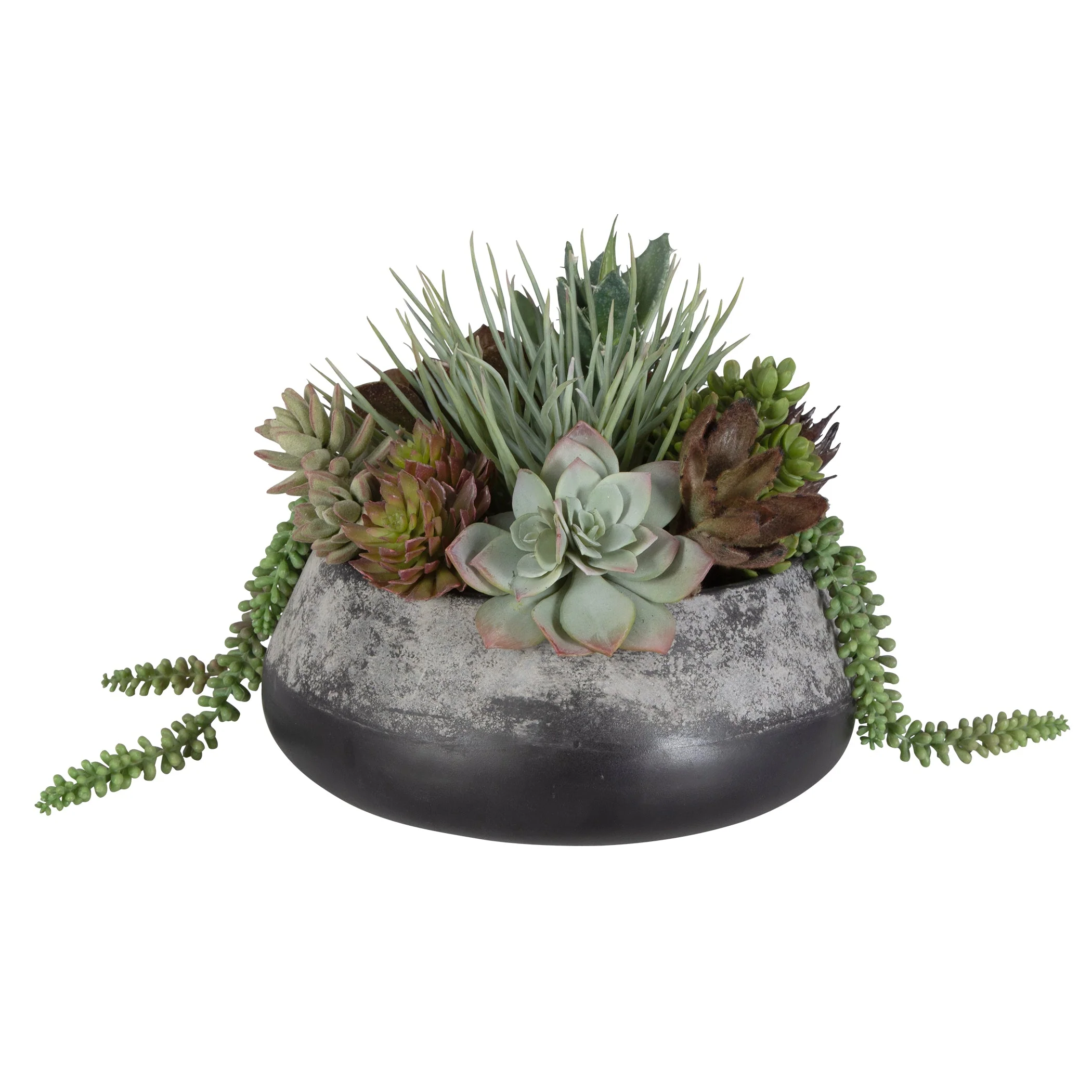 60214-UTT| Yuma Succulent Centerpiece - Image 6
