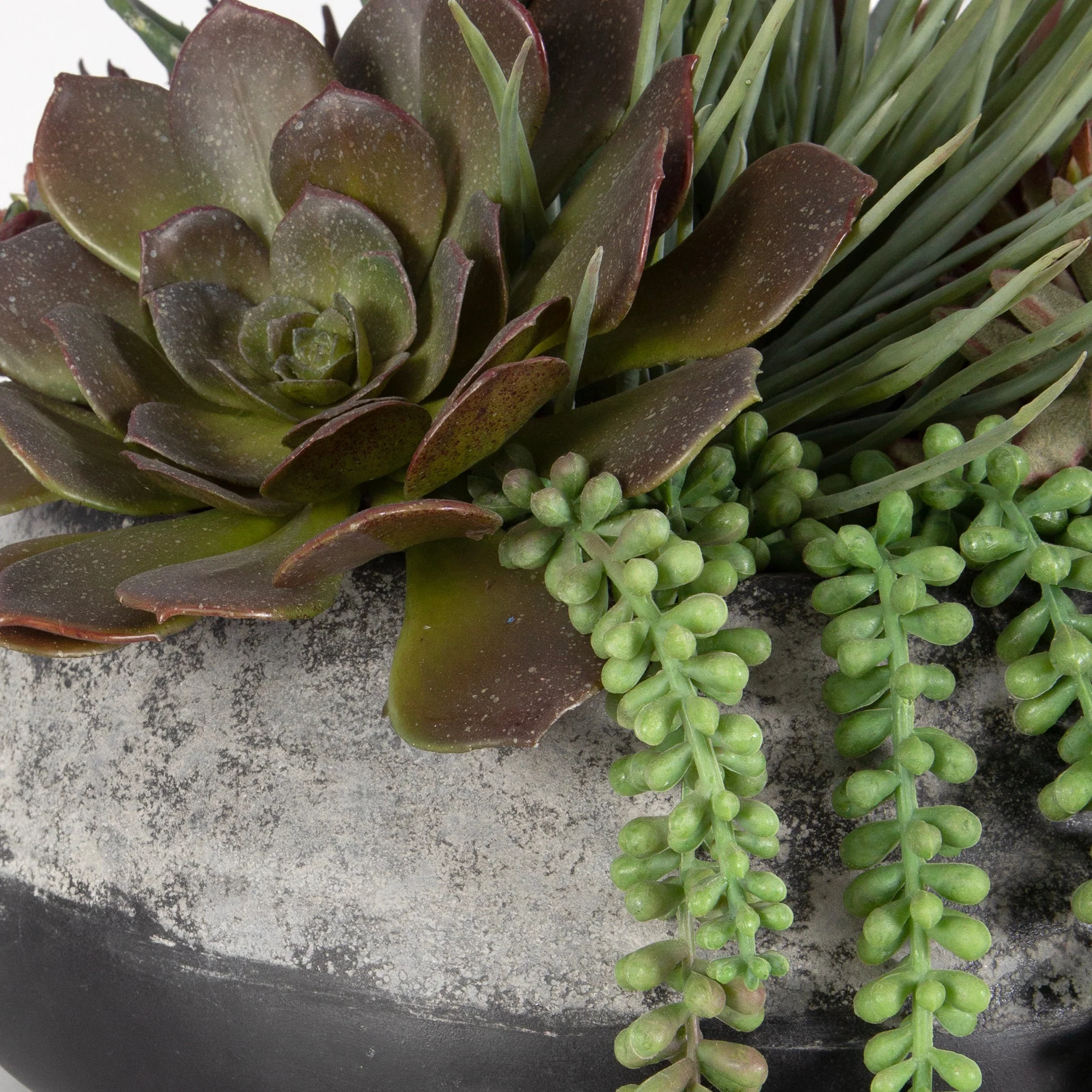 60214-UTT| Yuma Succulent Centerpiece - Image 7