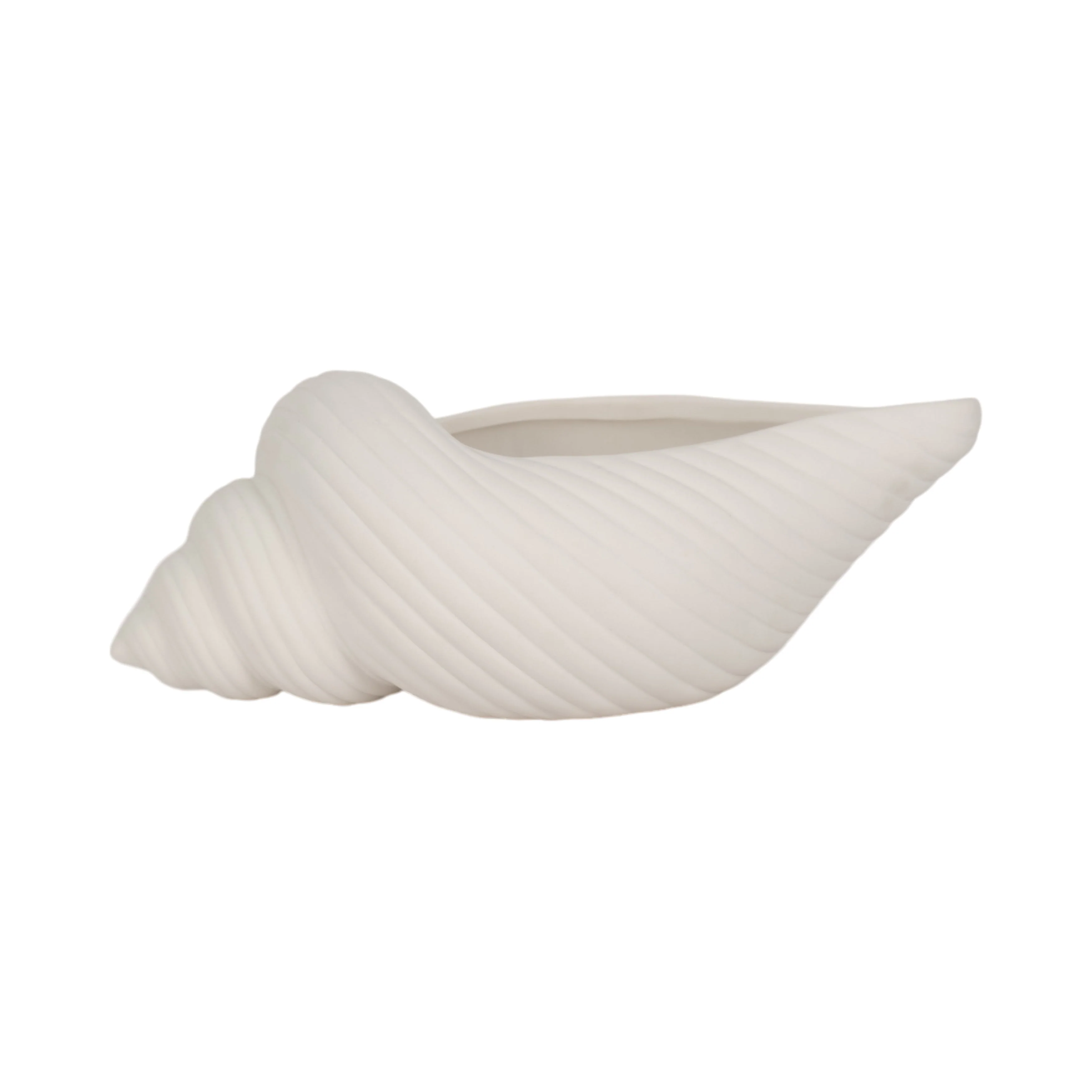 9" Conch Shell Planter, White - Image 10