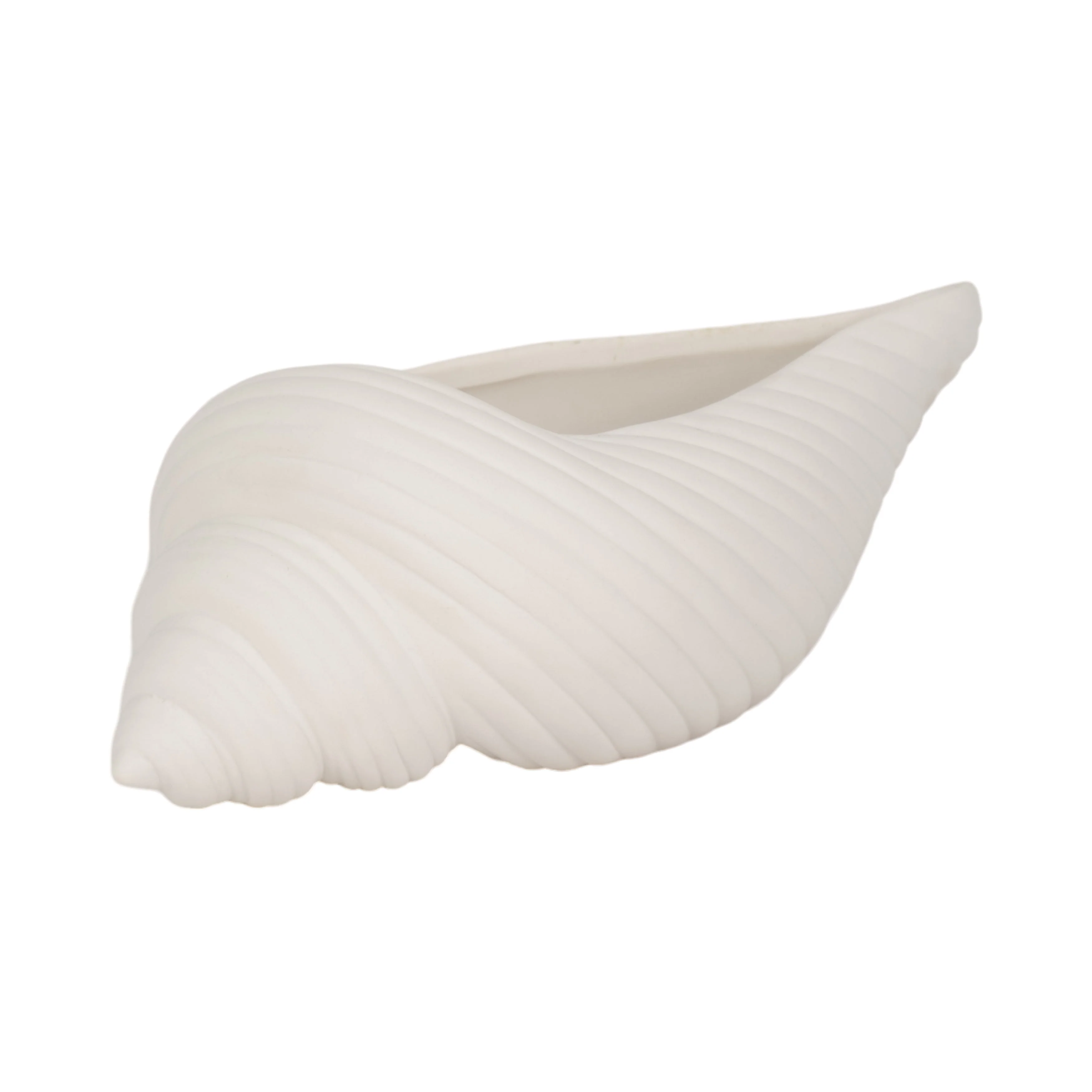 9" Conch Shell Planter, White - Image 12