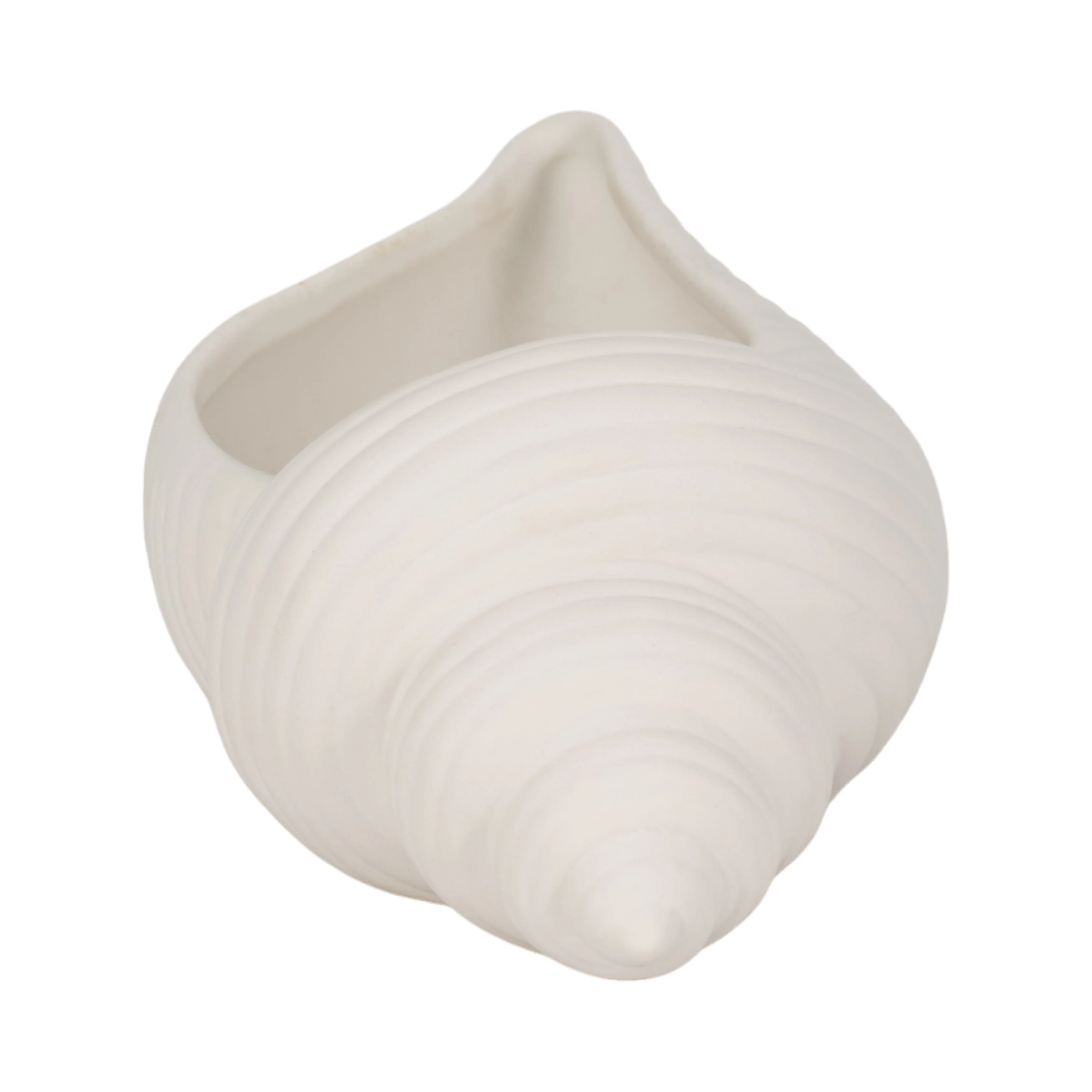 9" Conch Shell Planter, White - Image 13