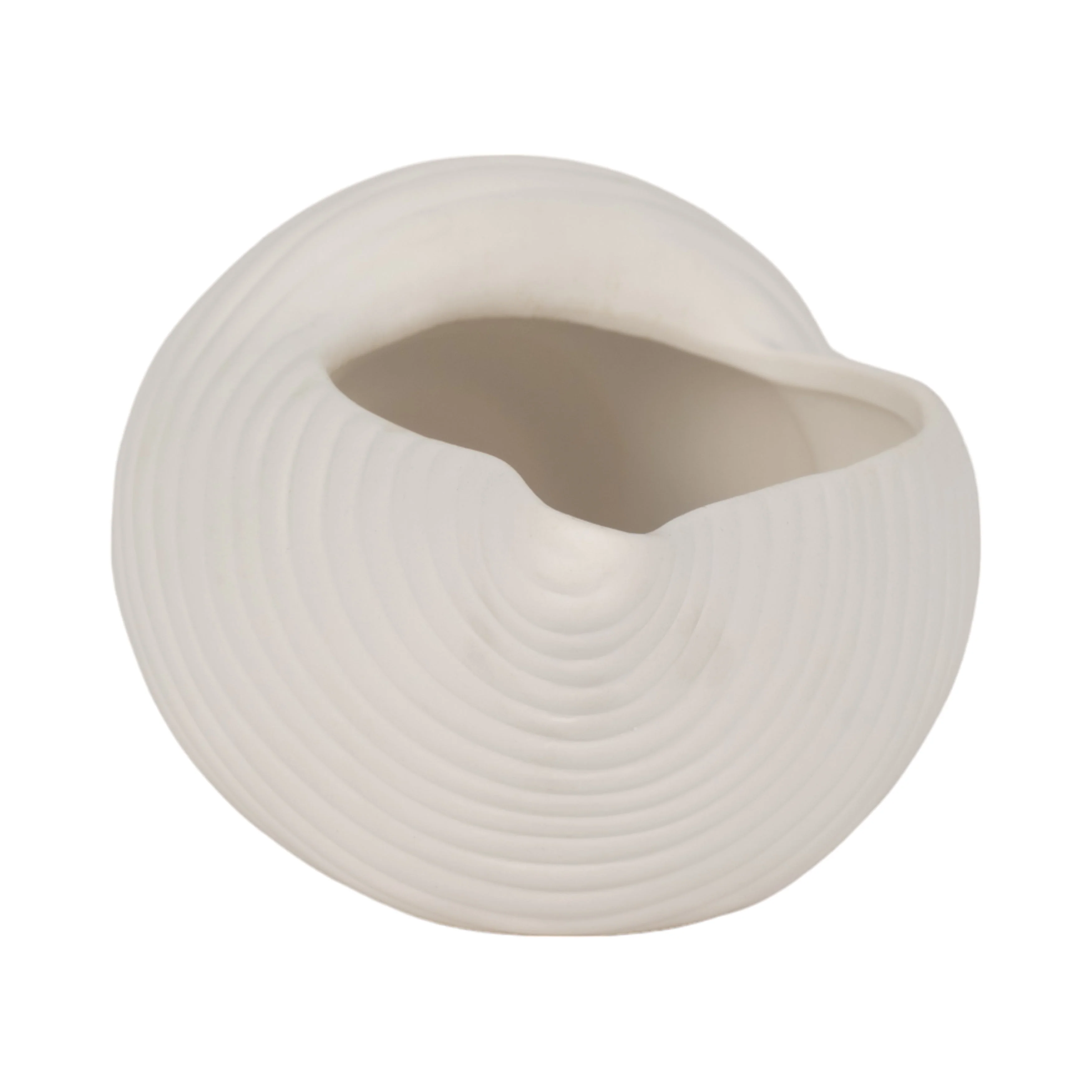 9" Conch Shell Planter, White - Image 14