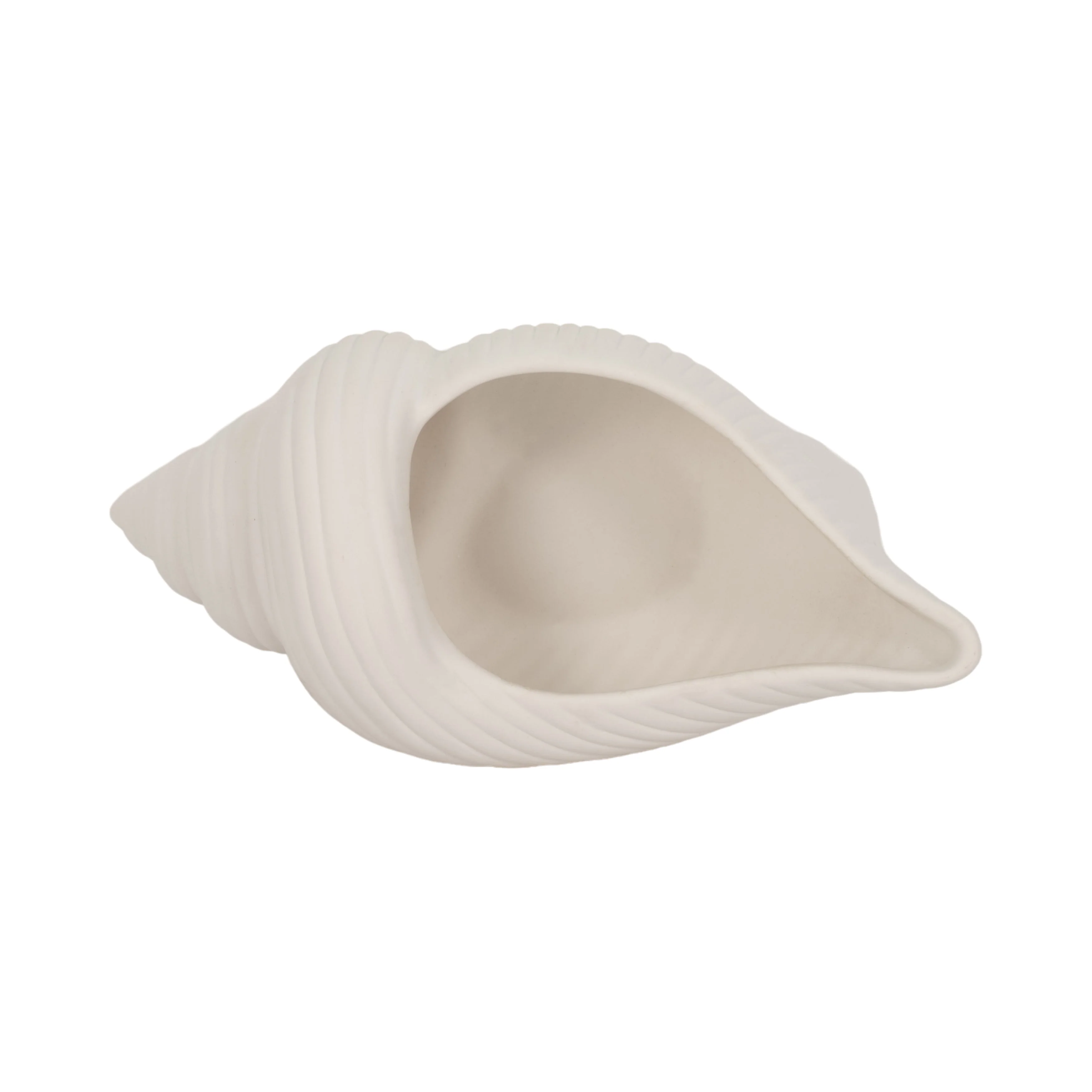 9" Conch Shell Planter, White - Image 16