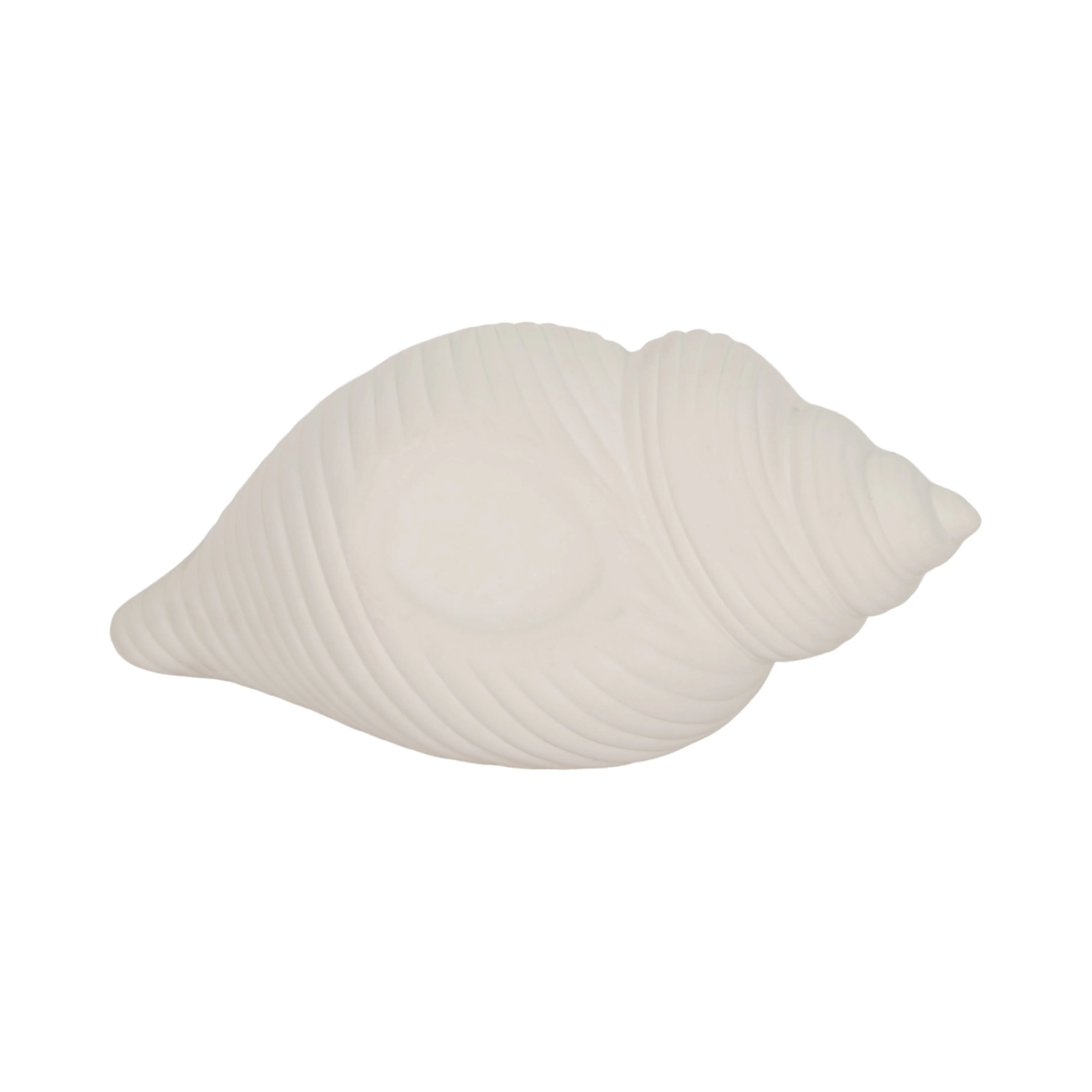 9" Conch Shell Planter, White - Image 17