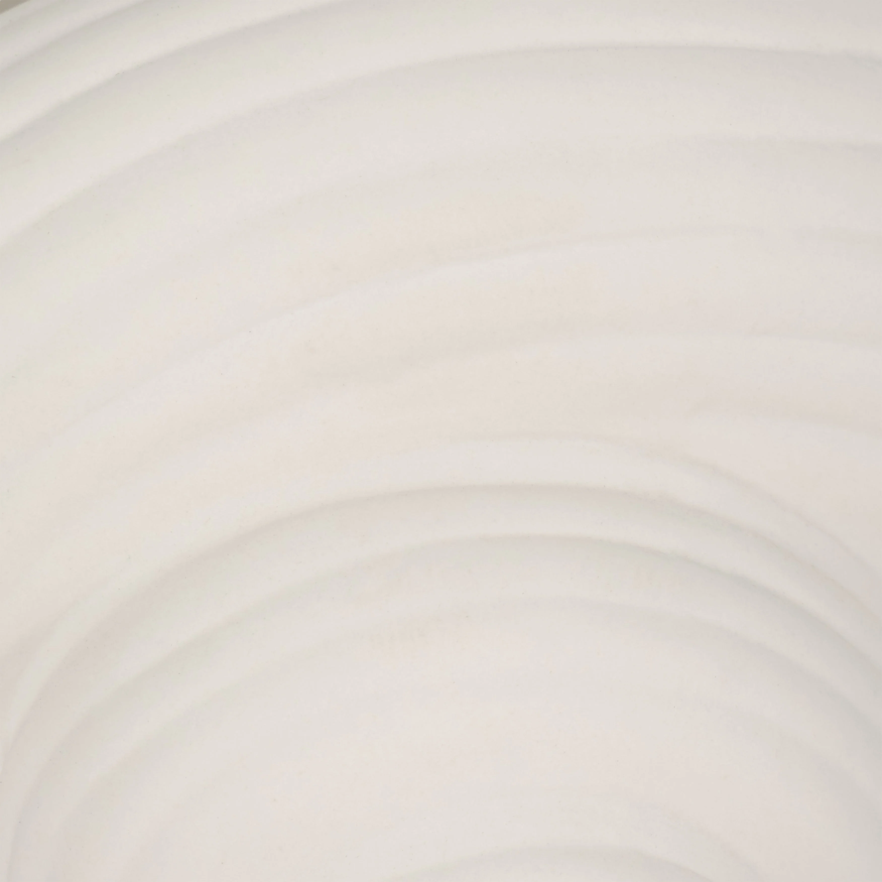 9" Conch Shell Planter, White - Image 6