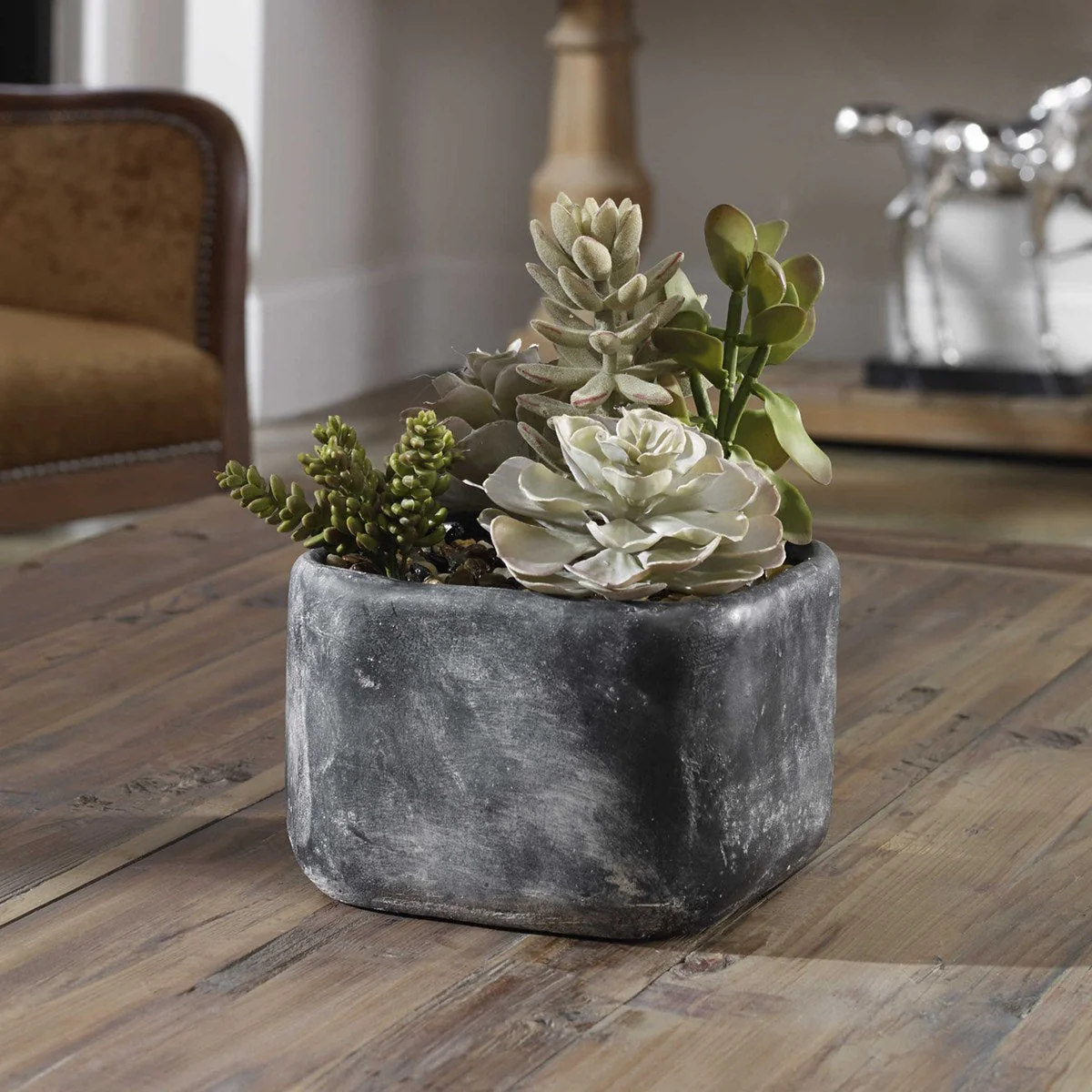 Alverio Succulents - Image 2