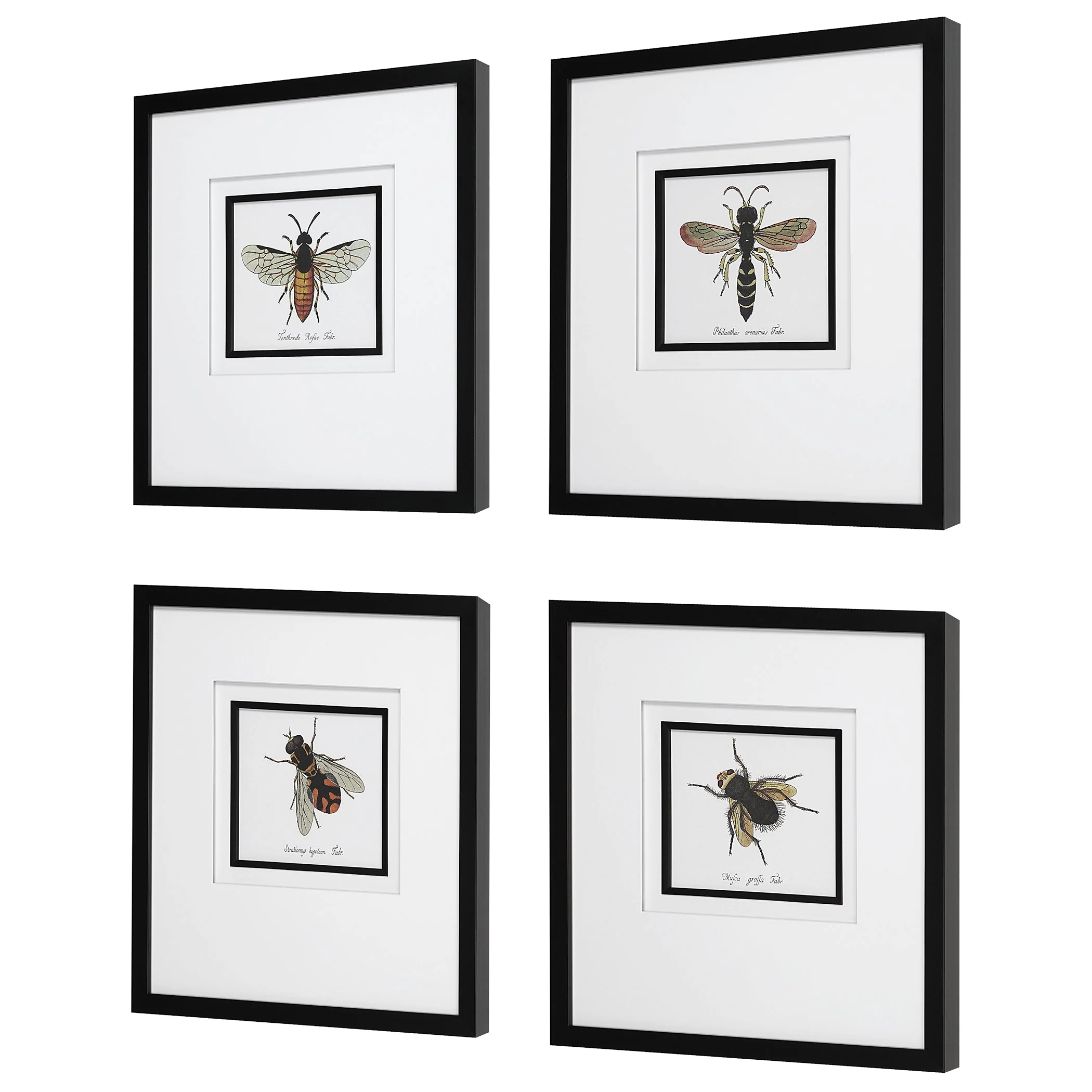 Anthophila Framed Prints, S/4 - Image 7