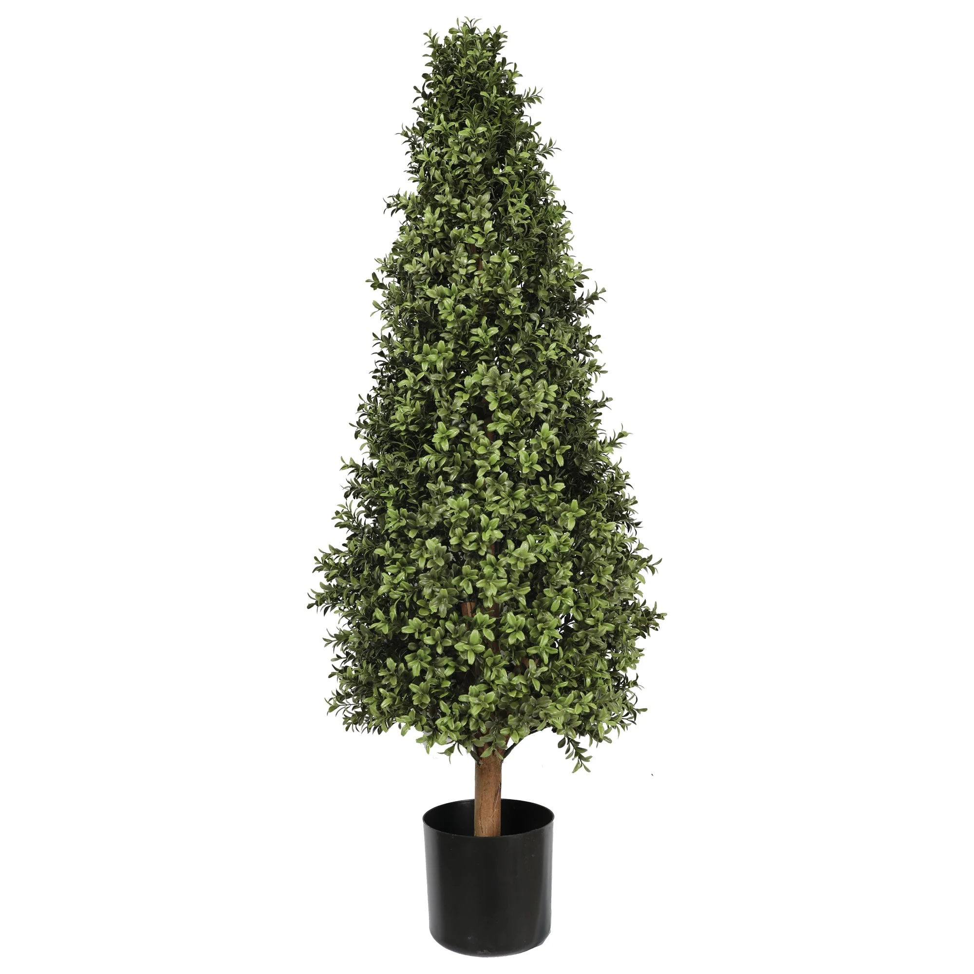 Buxus Tower Tree 120CM - Image 2