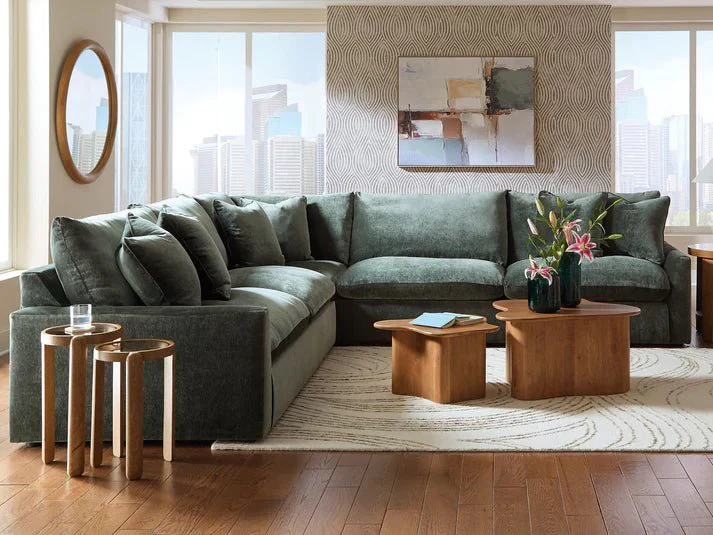 Carriage View Sectional - Image 3