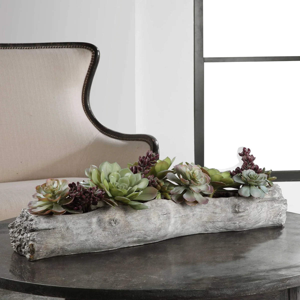 Charita Succulents - Image 4