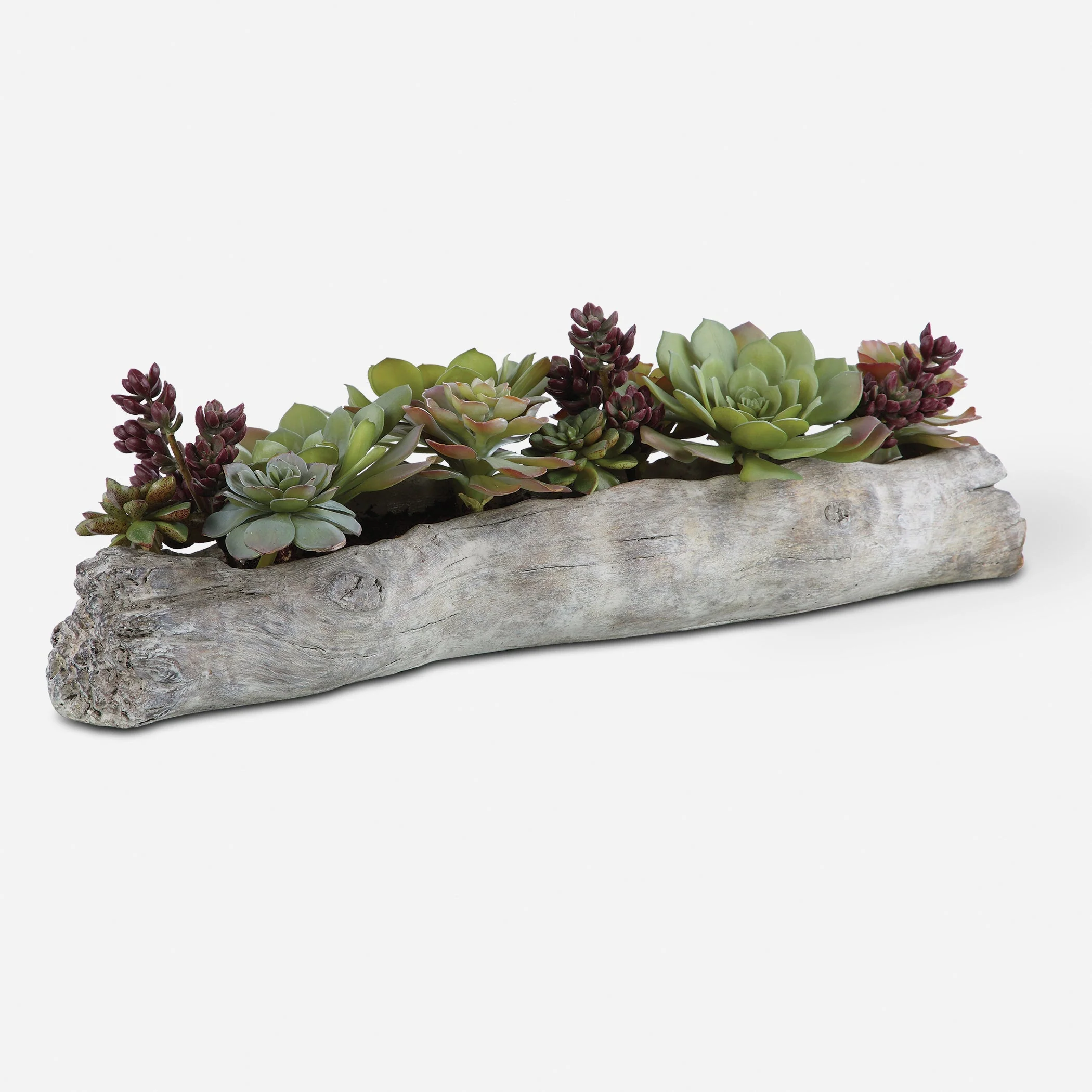 Charita Succulents - Image 5
