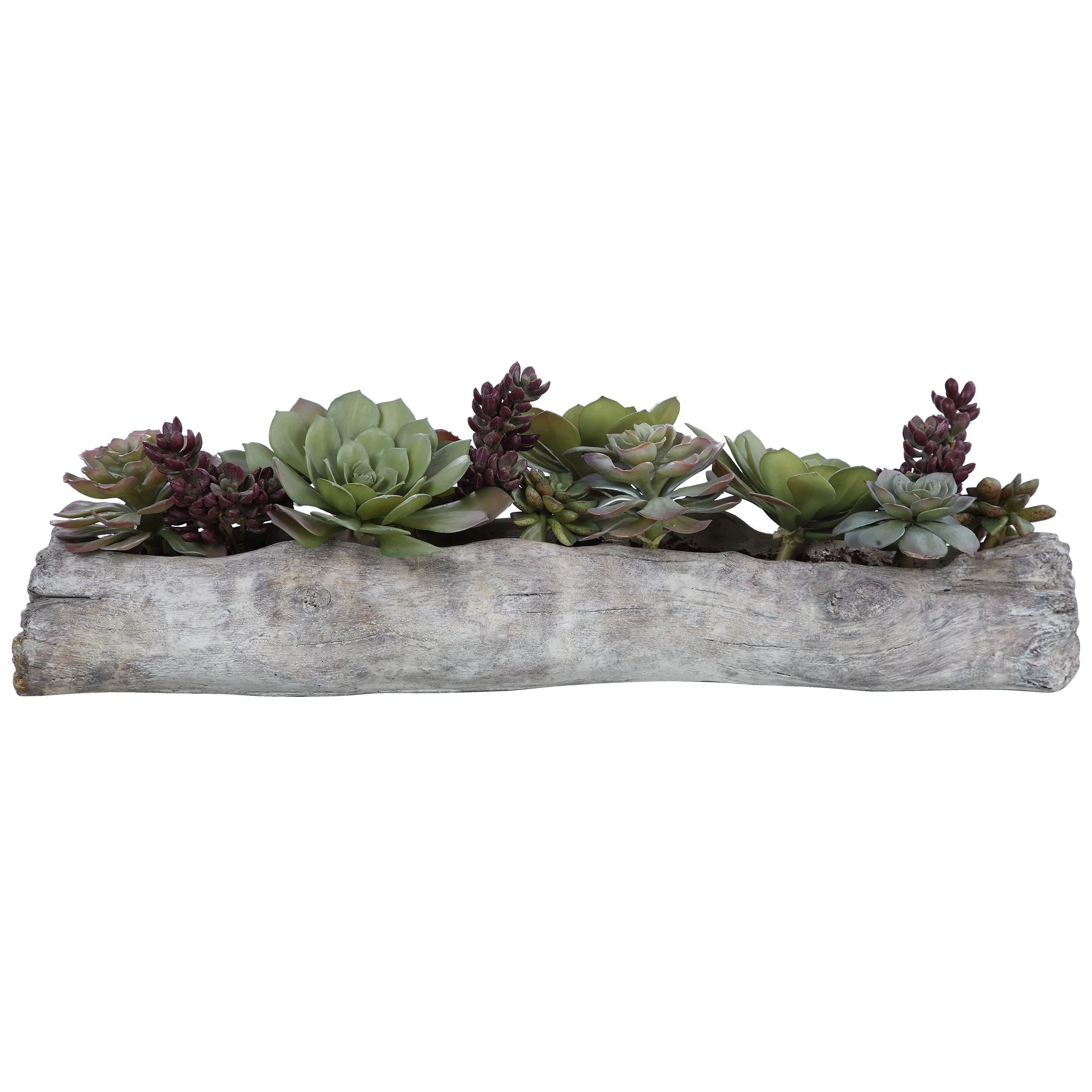 Charita Succulents - Image 6
