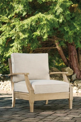Clare View Lounge Chair with Cushion - Image 3