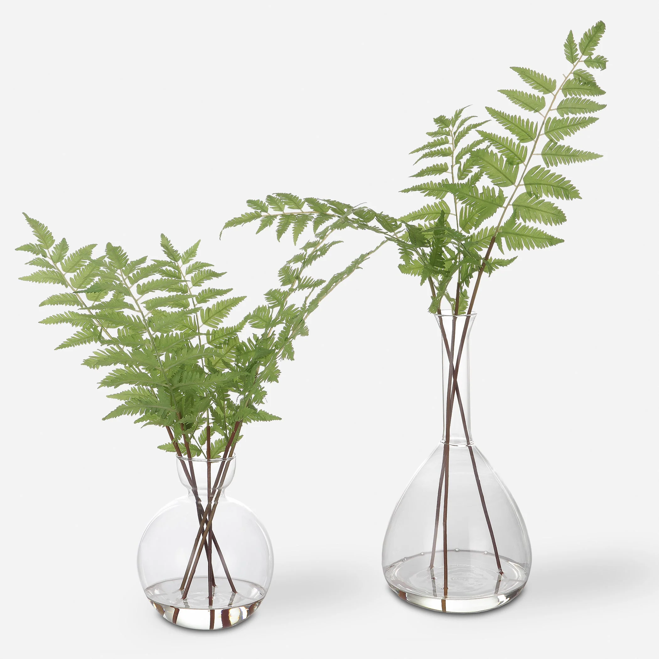 Country Ferns, S/2 - Image 4