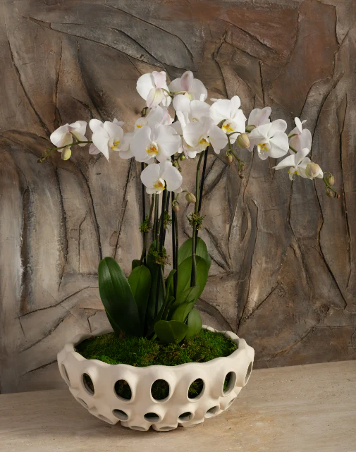 EV20495  Accent Tables( Sagebrook Home  ) - Image 2
