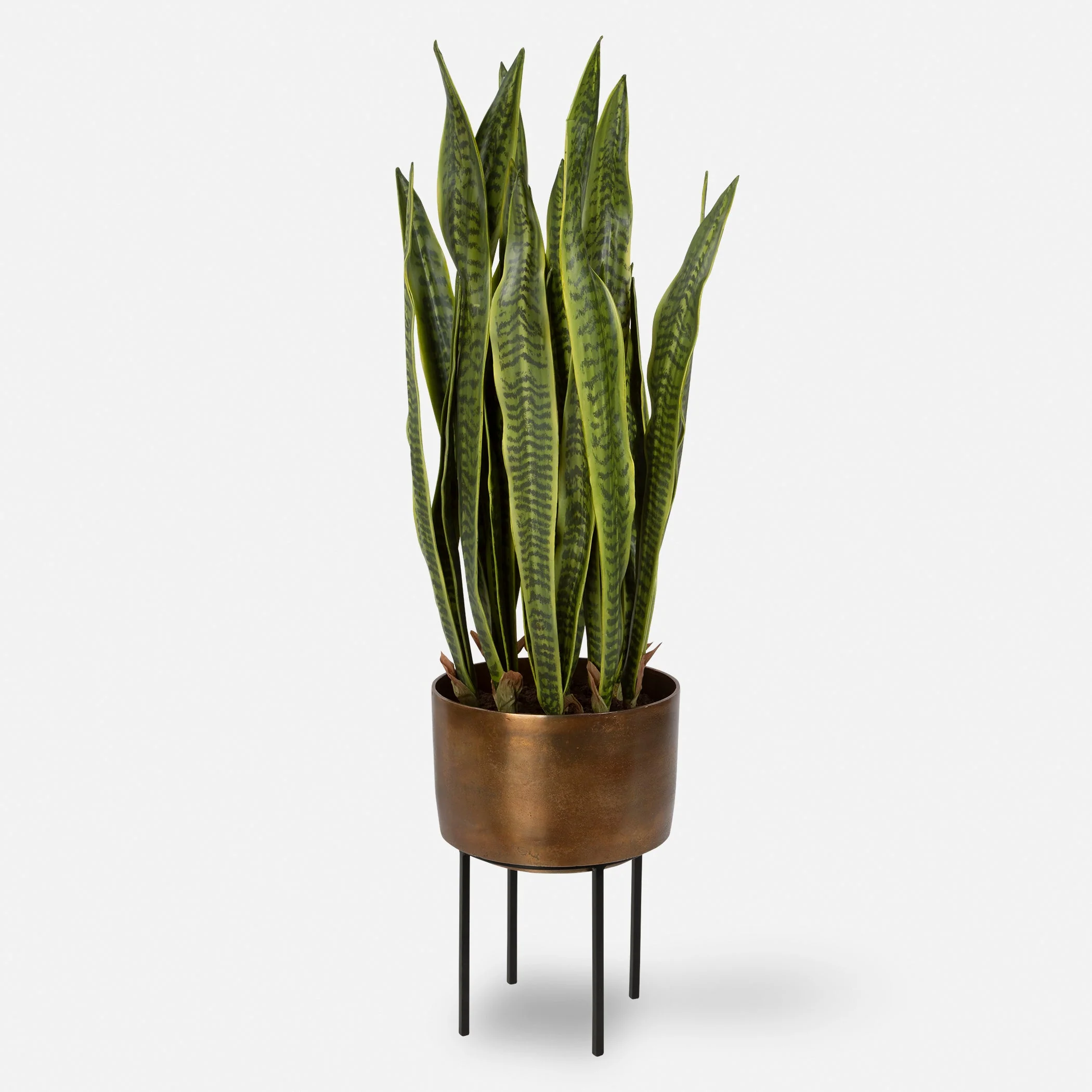 Fasita Planter, 2 Cartons - Image 3