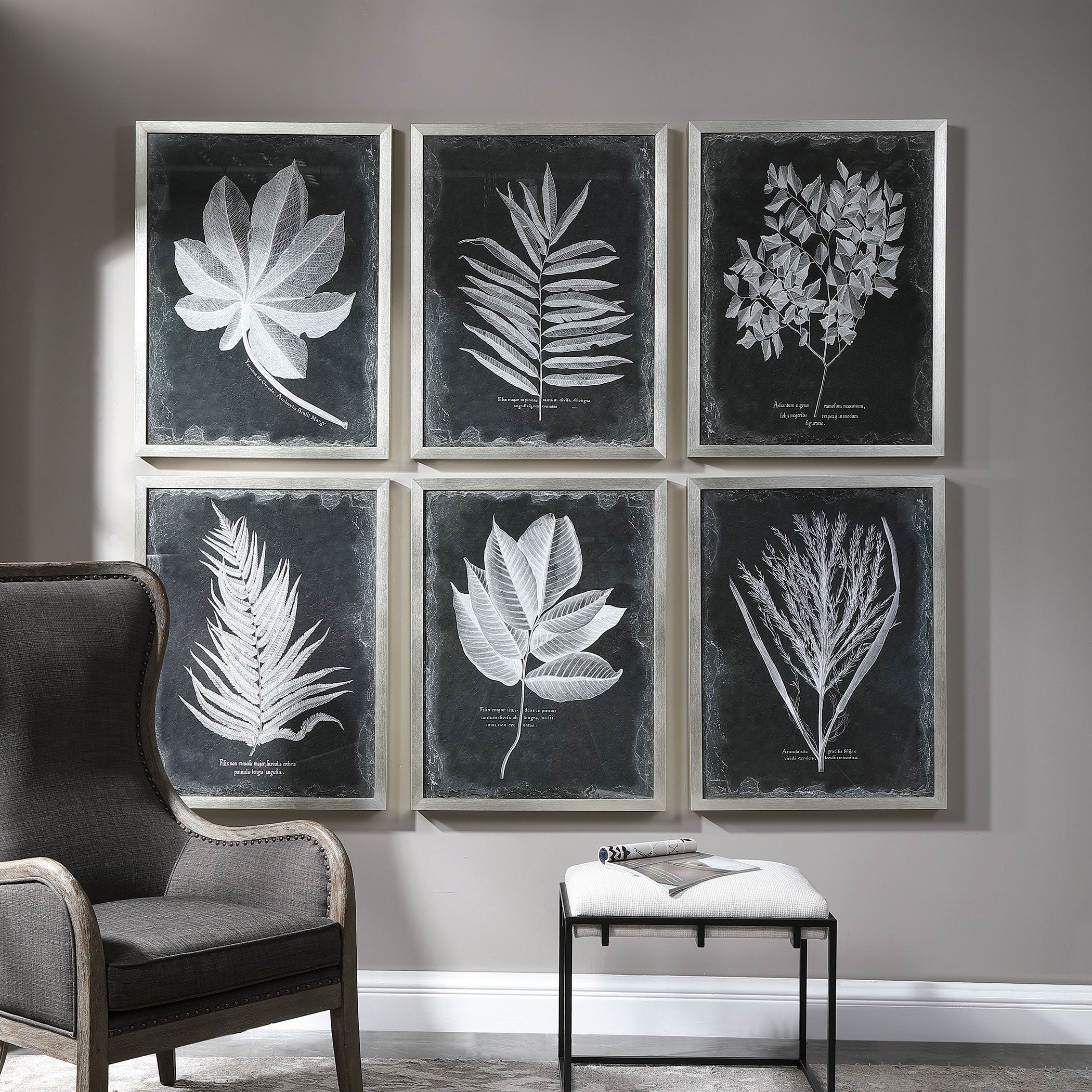 Foliage Framed Prints, S/6 - Image 4