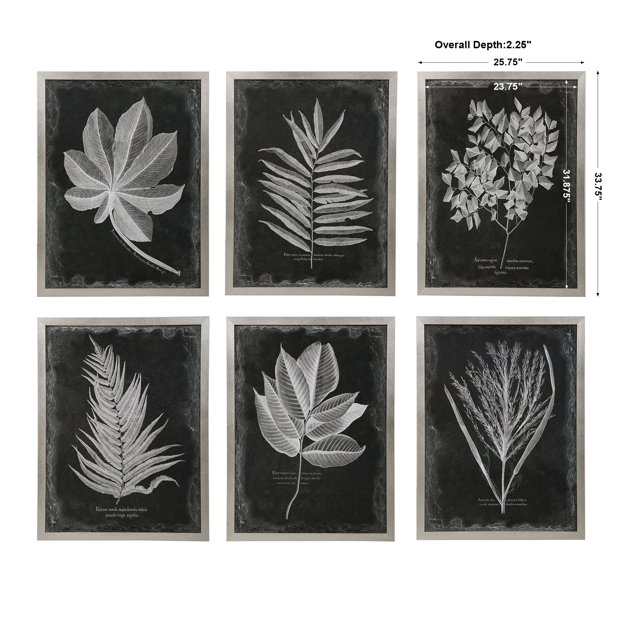 Foliage Framed Prints, S/6 - Image 5