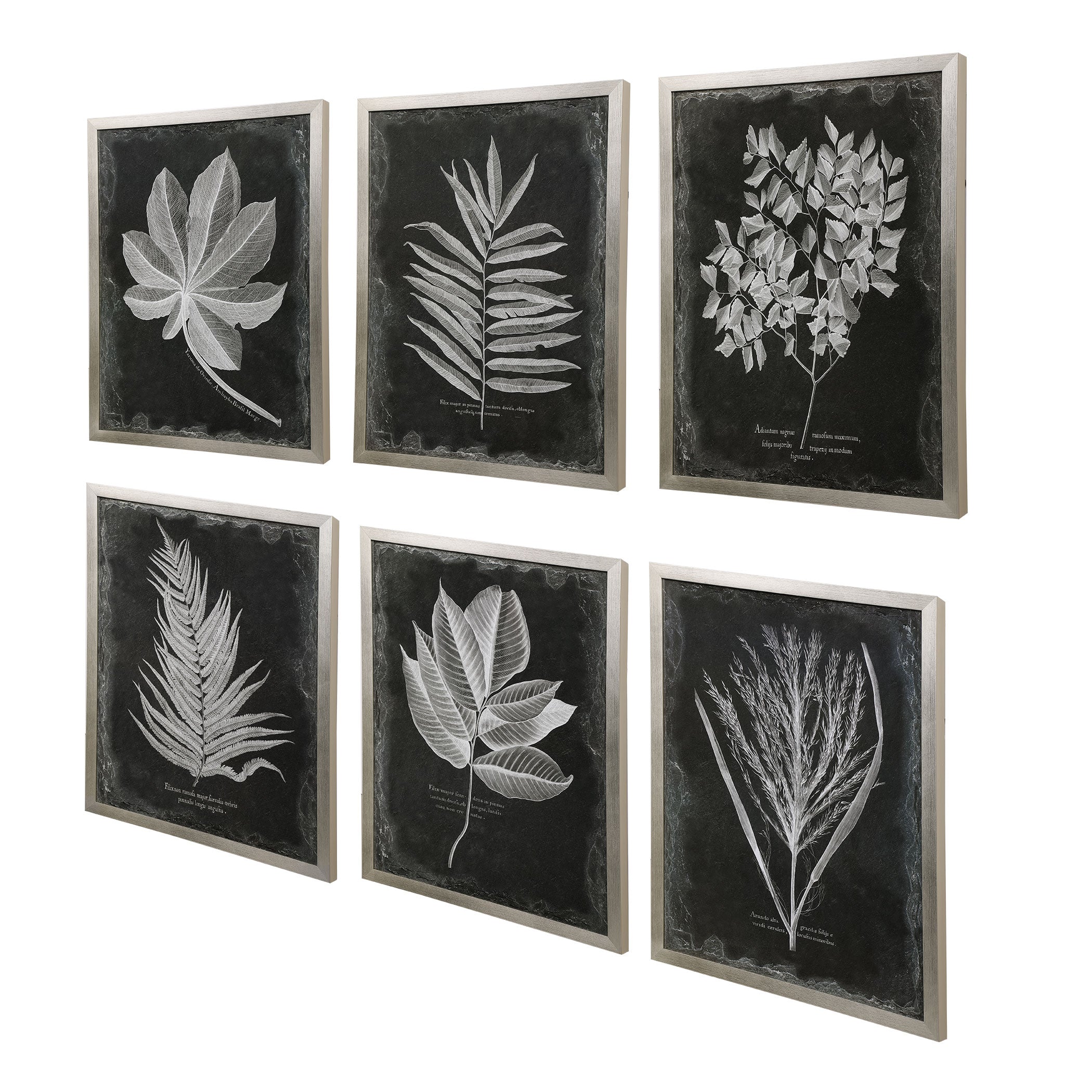 Foliage Framed Prints, S/6 - Image 7
