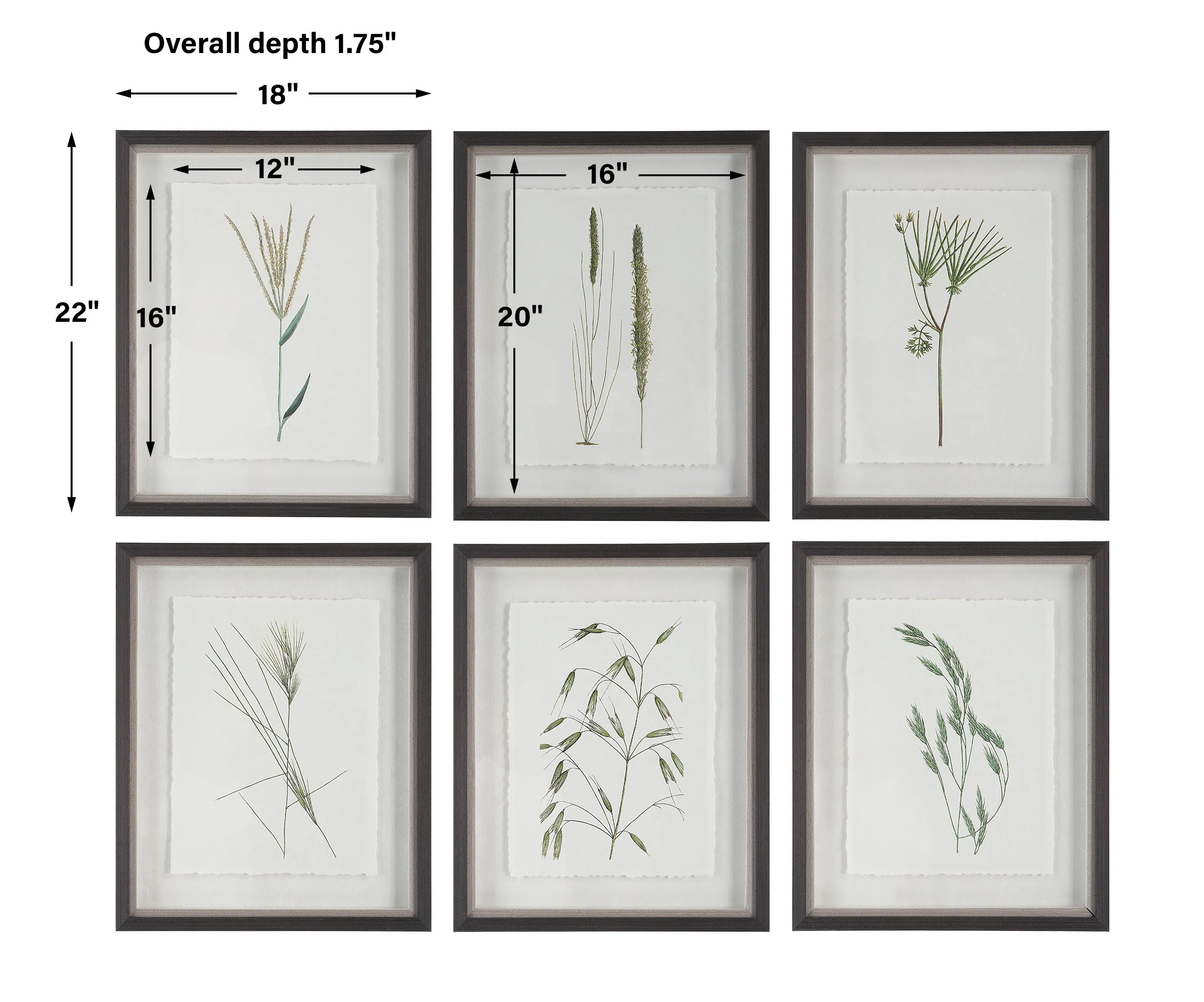 Forest Finds Framed Prints, S/6 - Image 3