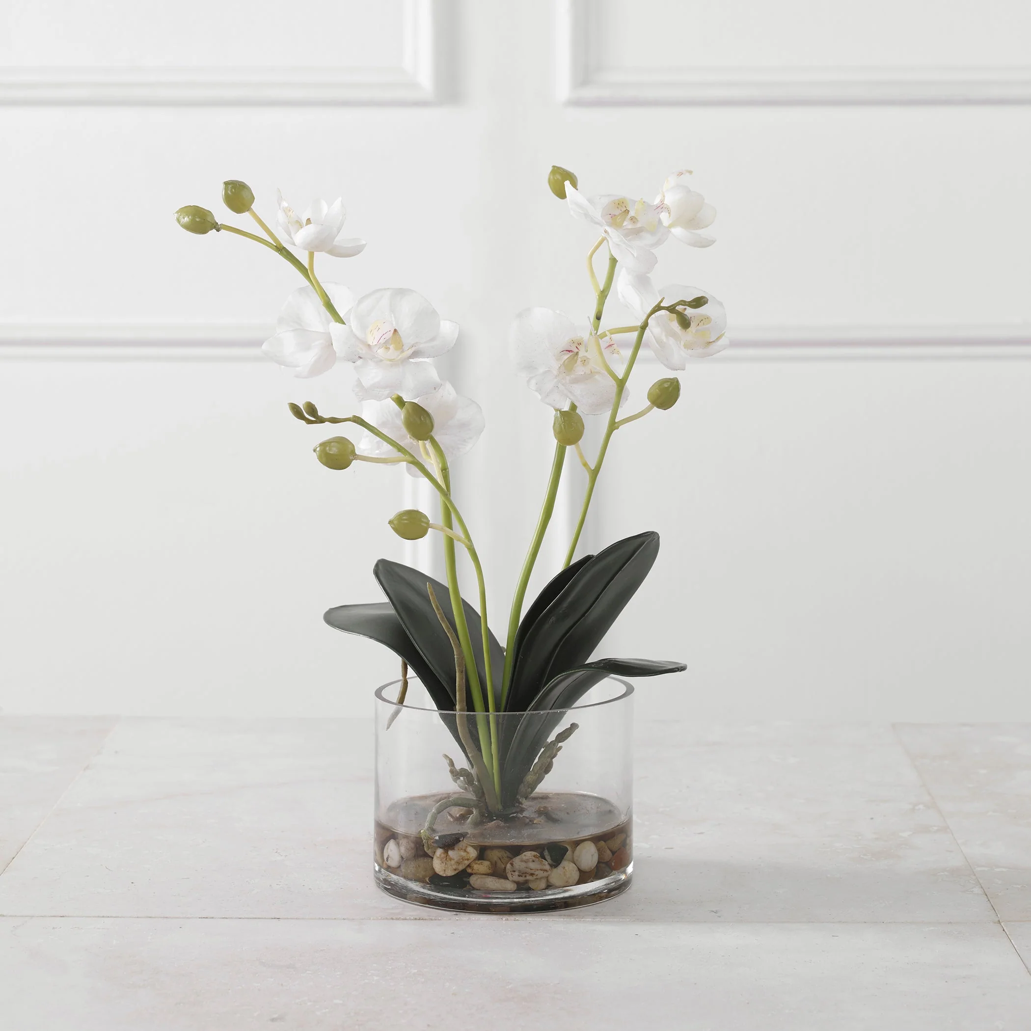 Glory Orchid - Image 3