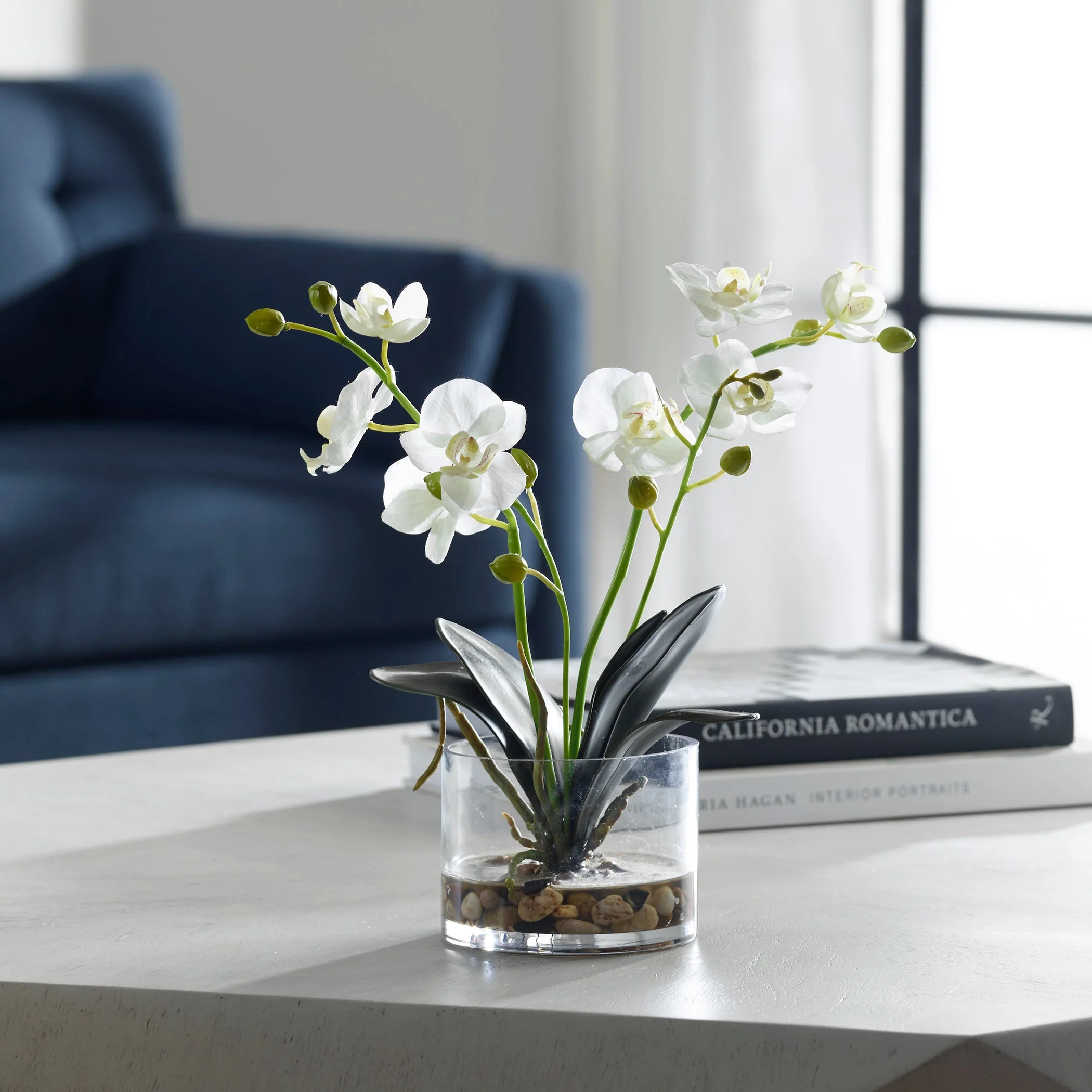 Glory Orchid - Image 6