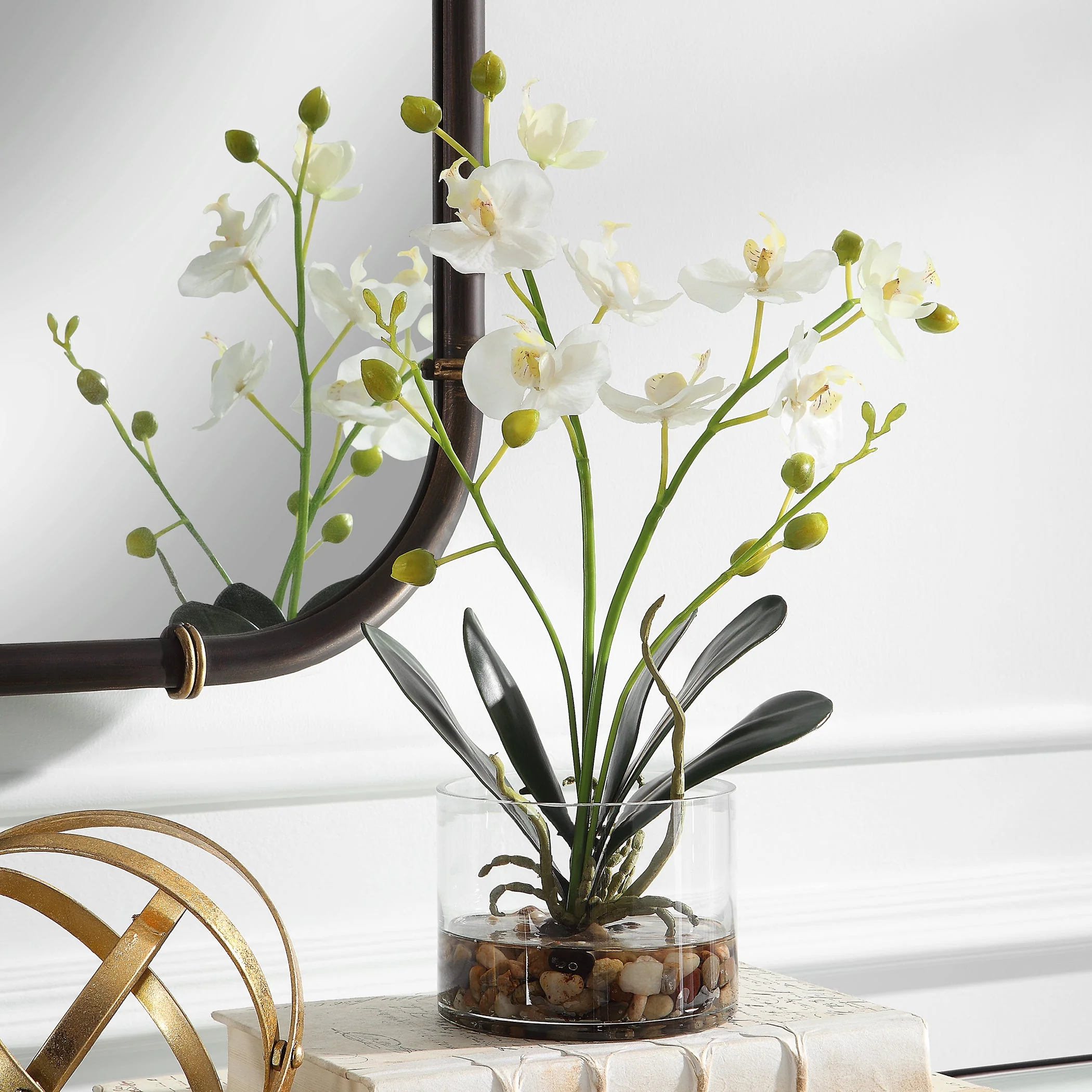 Glory Orchid - Image 7
