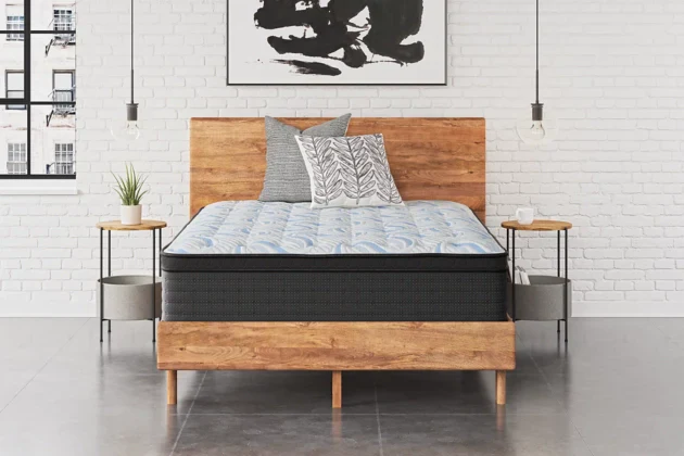 Limited Edition Plush King Mattress - Image 3