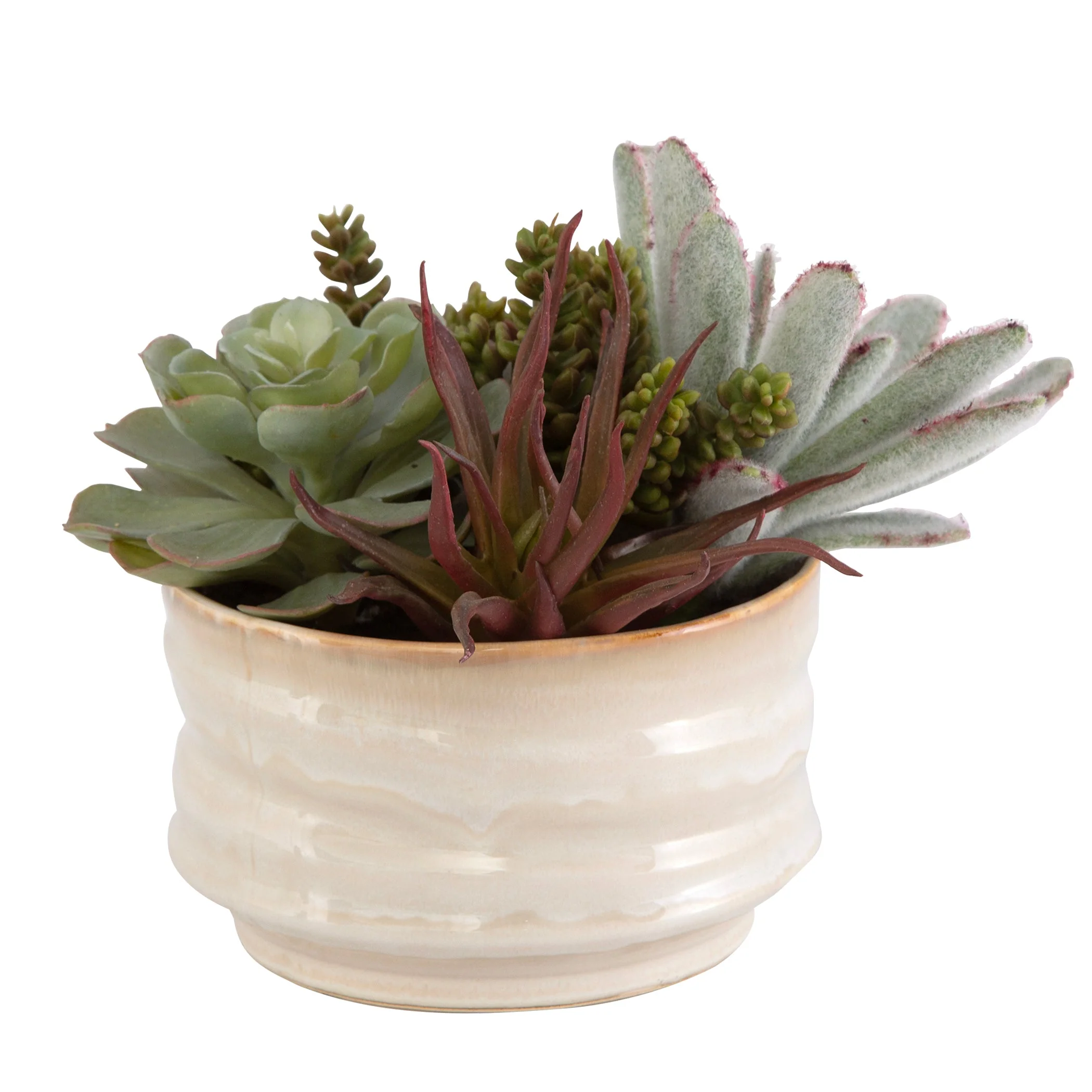 Mesa Succulent Accent - Image 7