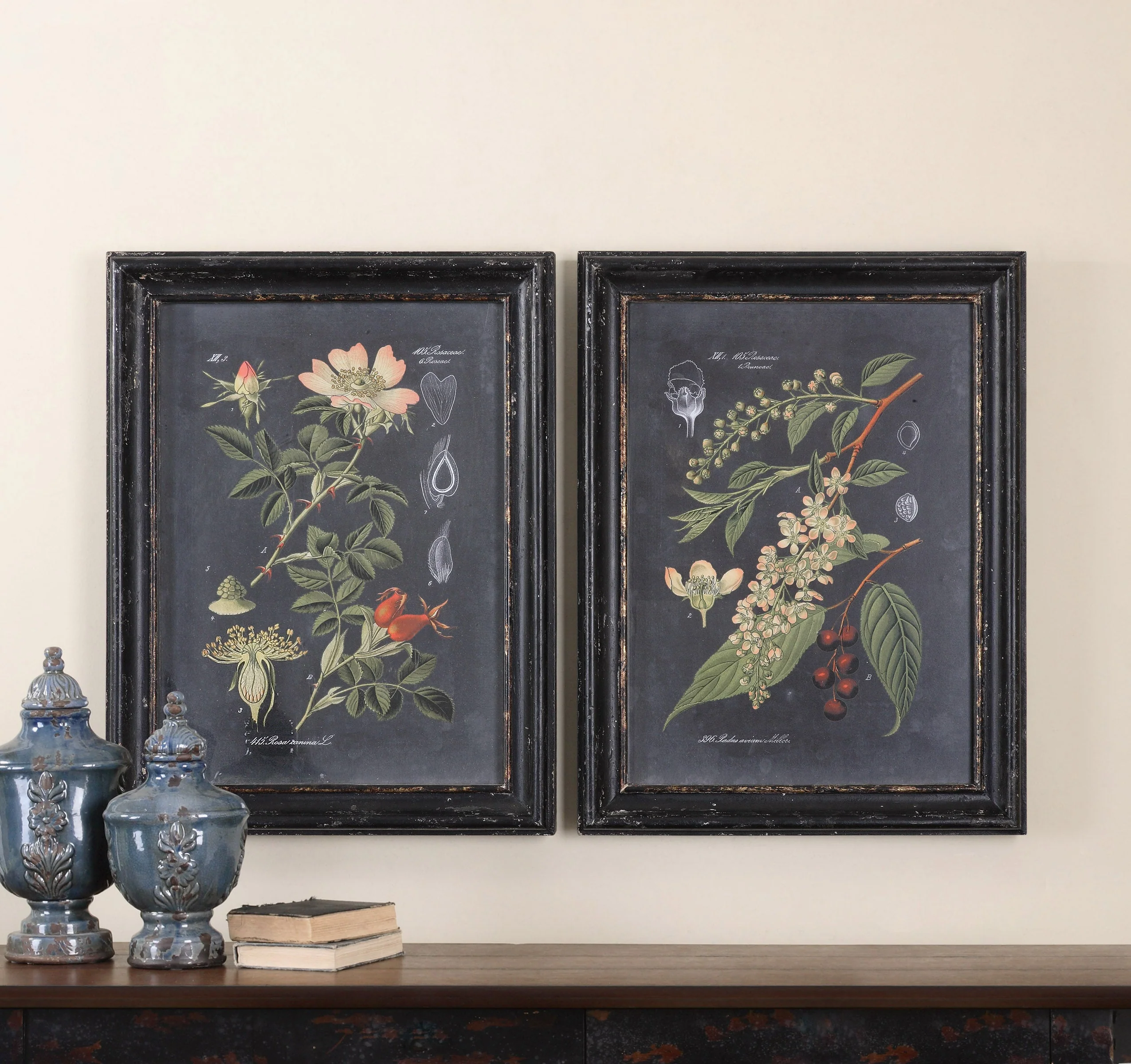 Midnight Botanicals Framed Prints, S/2 - Image 3
