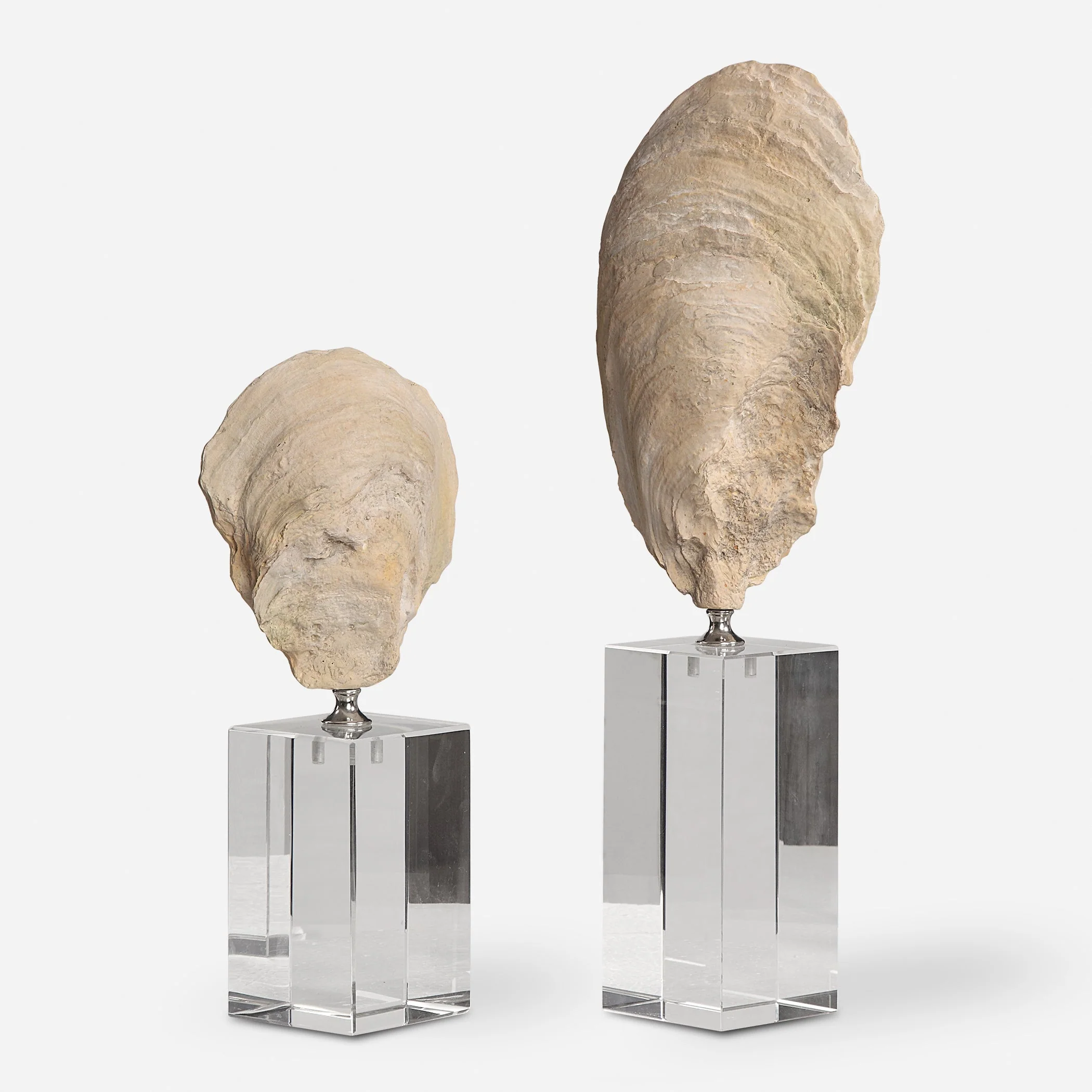 Oyster Shell Sculptures, S/2 - Image 3
