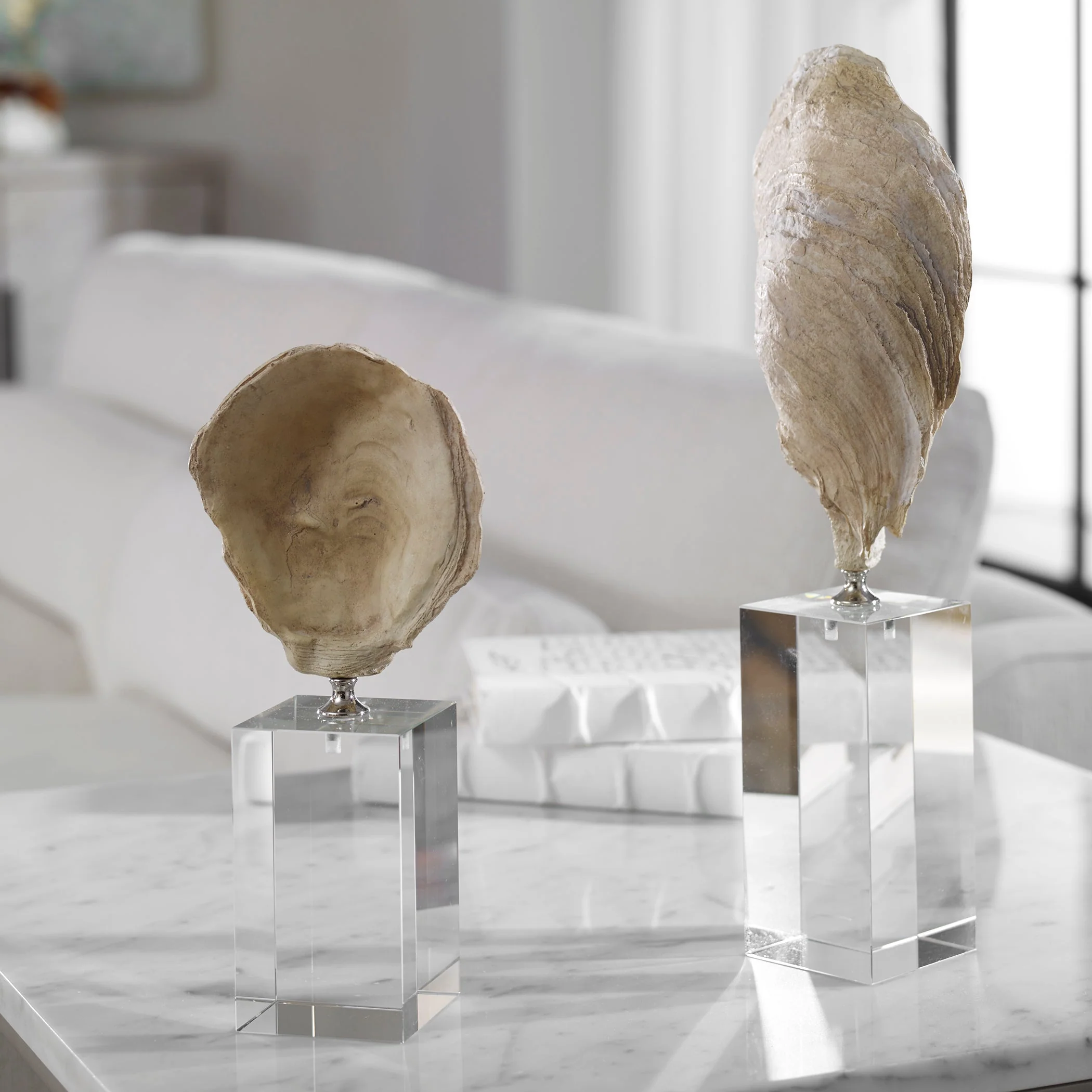Oyster Shell Sculptures, S/2 - Image 4