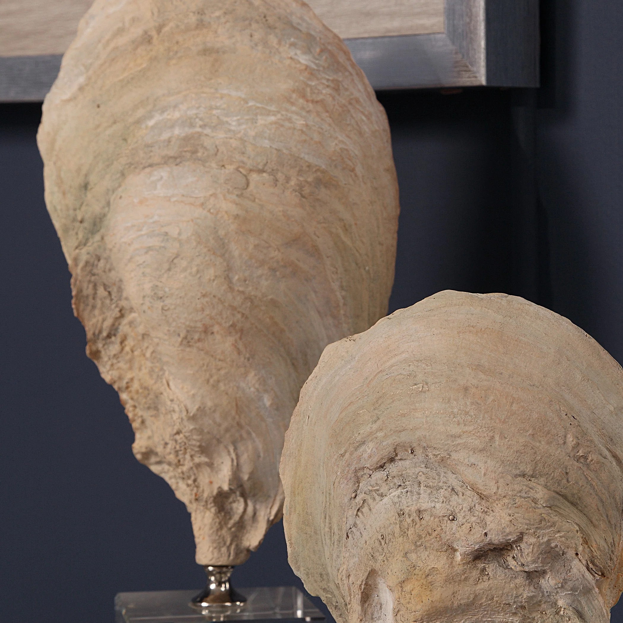 Oyster Shell Sculptures, S/2 - Image 6