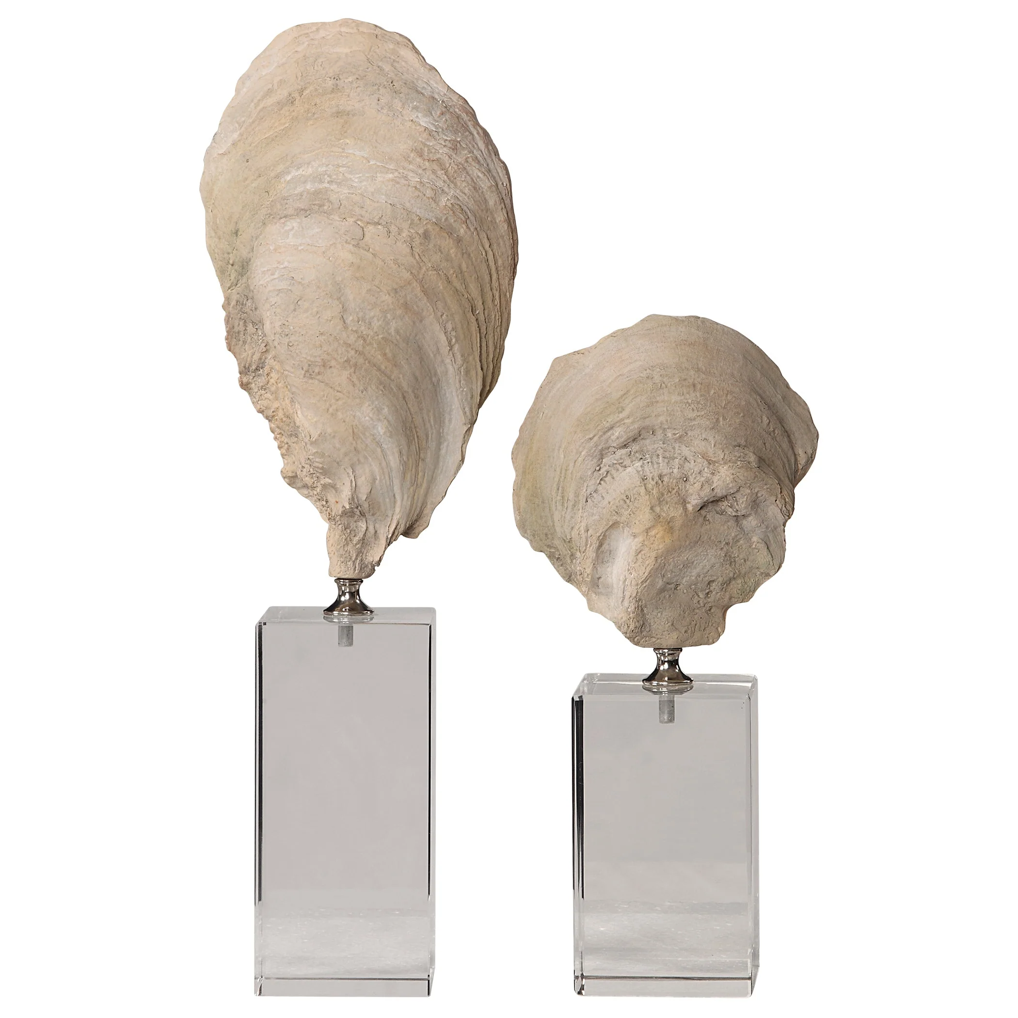 Oyster Shell Sculptures, S/2 - Image 7