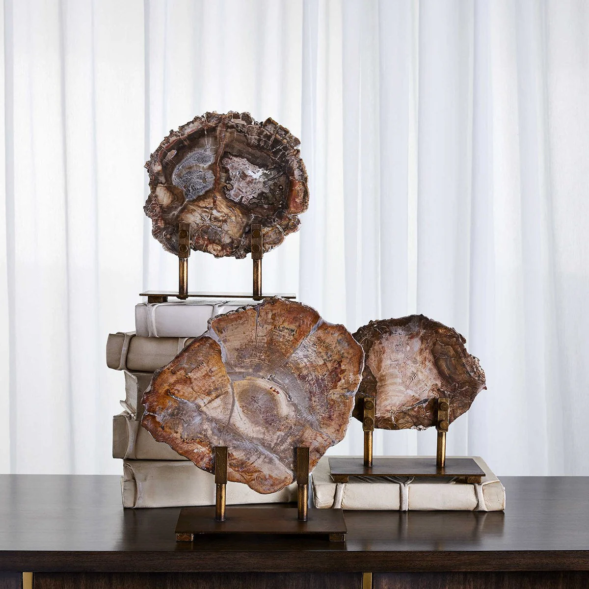 Petrified Wood Sculpture - Image 3