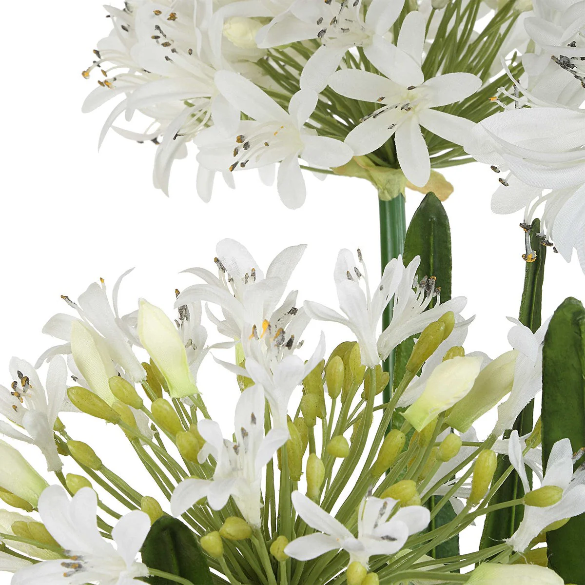 Purity Agapanthus Centerpiece - Image 8