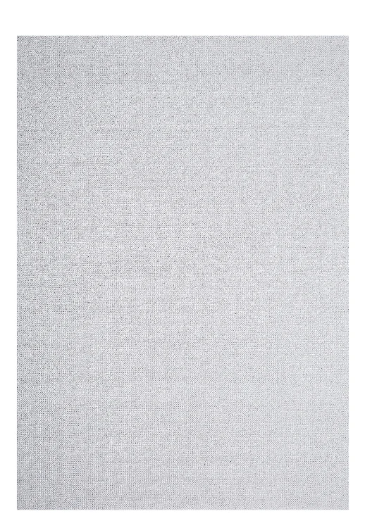 Rug 200*290 cm