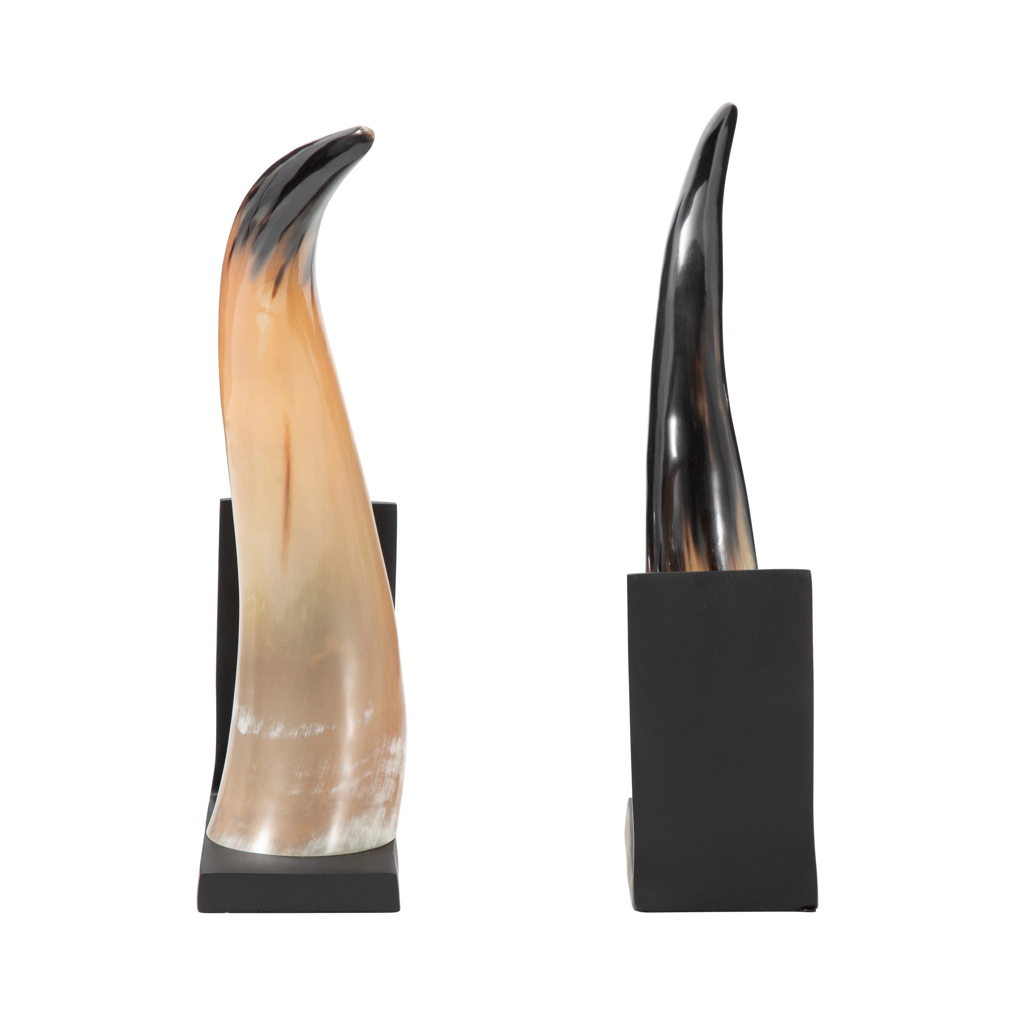 S/2 14" Gamil Horn Bookends - Image 4